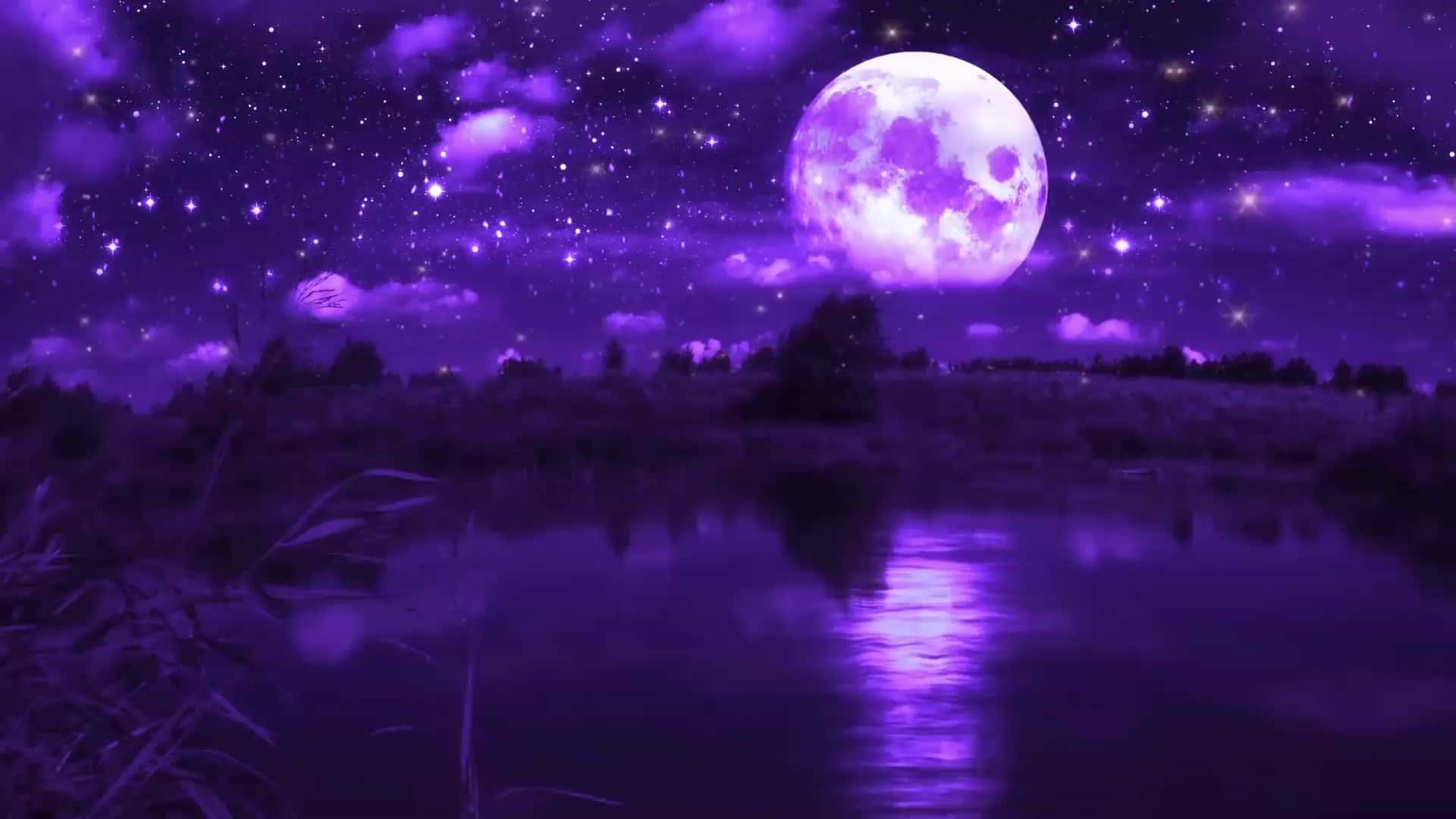 動態桌面 桌布 壁紙 — 寧靜的紫色夜景，一輪明亮的滿月映照在平靜的水面上，周圍是剪影般的蘆葦和遠處的樹木。