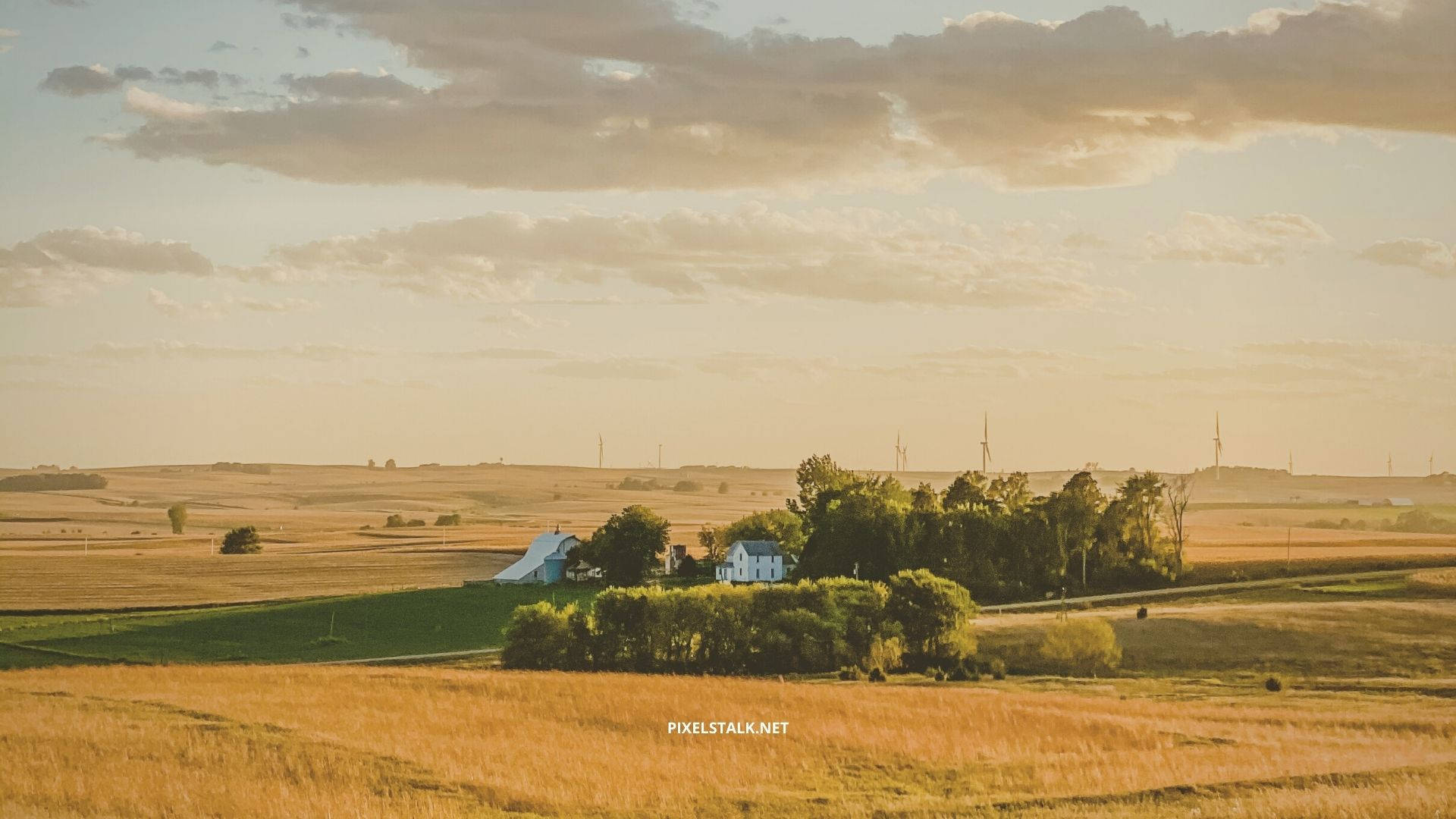 Fall Farm 桌布 壁紙 — 寧靜的鄉村農舍坐落在金色田野中，天空柔和，夕陽西下，雲彩點綴。