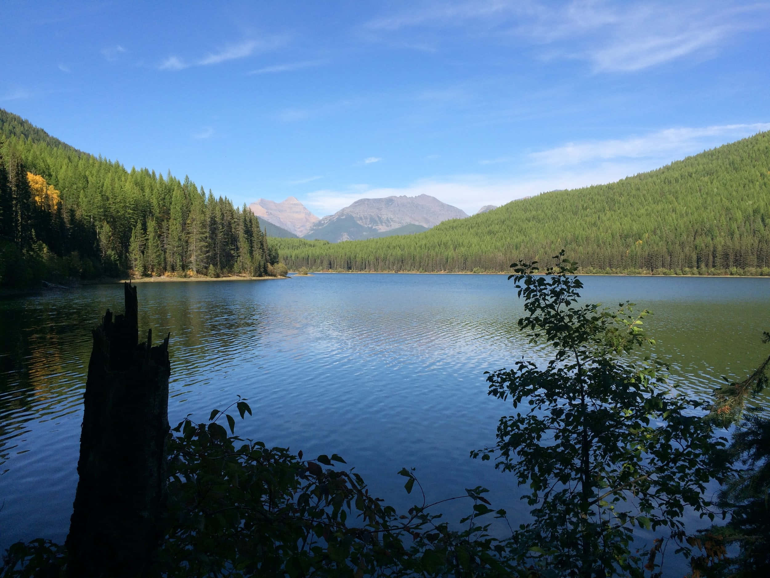 Mountain View 桌布 壁紙 — 寧靜的高山湖泊映照出遠處白雪覆蓋的山峰，在清澈的藍天下，四周環繞著茂密的常綠森林。