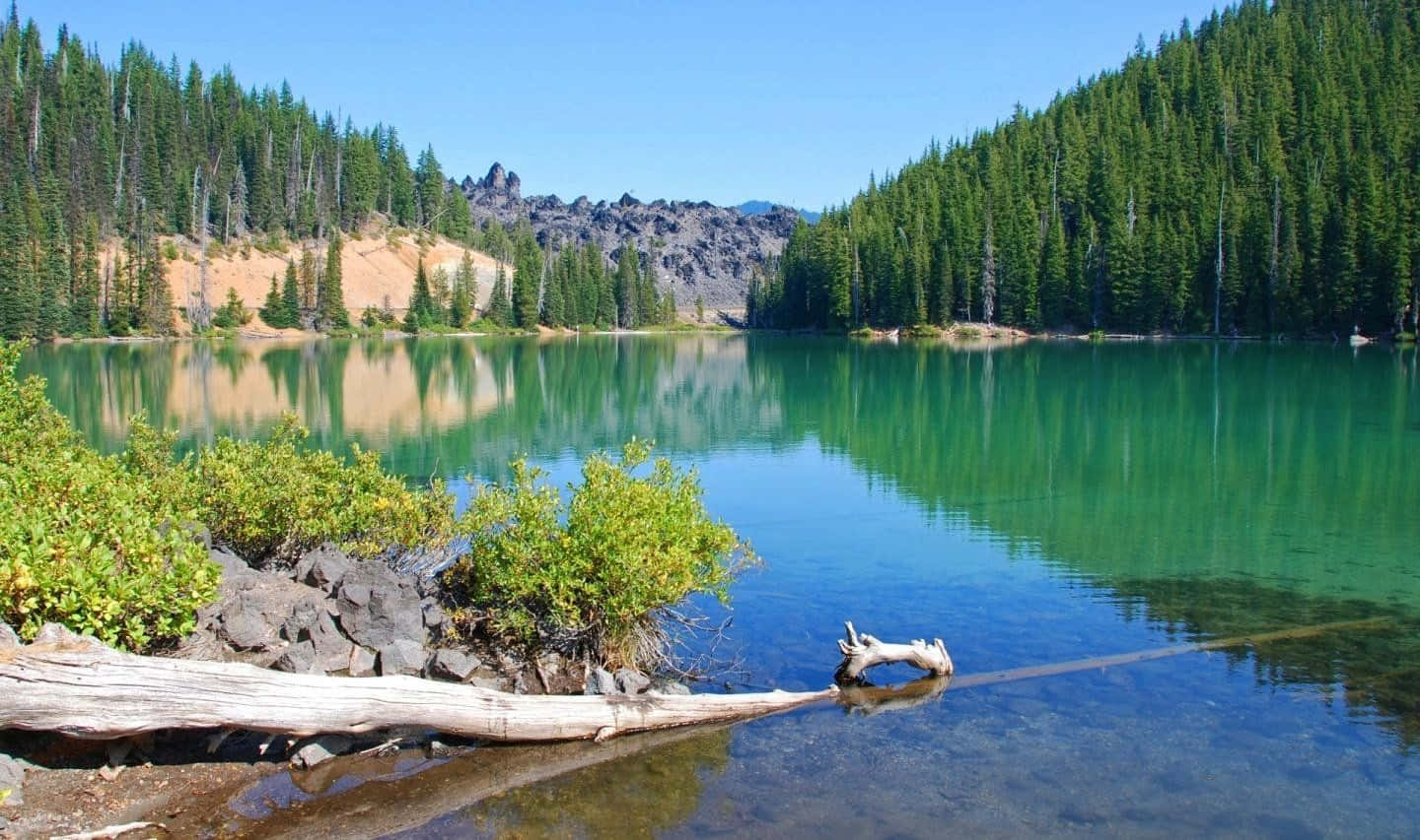 Beautiful Lake 桌布 壁紙 — 寧靜的高山湖泊映照著周圍的松林和岩石峭壁，天空清澈湛藍。