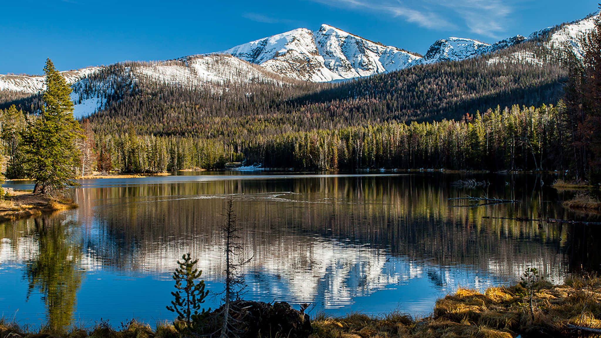Yellowstone 桌布 壁紙 — 寧靜的高山湖泊映照著白雪覆蓋的山峰和常綠森林，天空湛藍清澈。