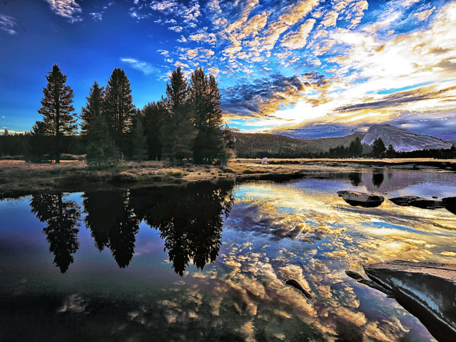 桌布 壁紙 — 寧靜的高山湖泊映照著金色的日落雲彩和松樹，背景是鮮豔的藍天和遠處白雪覆蓋的山峰。
