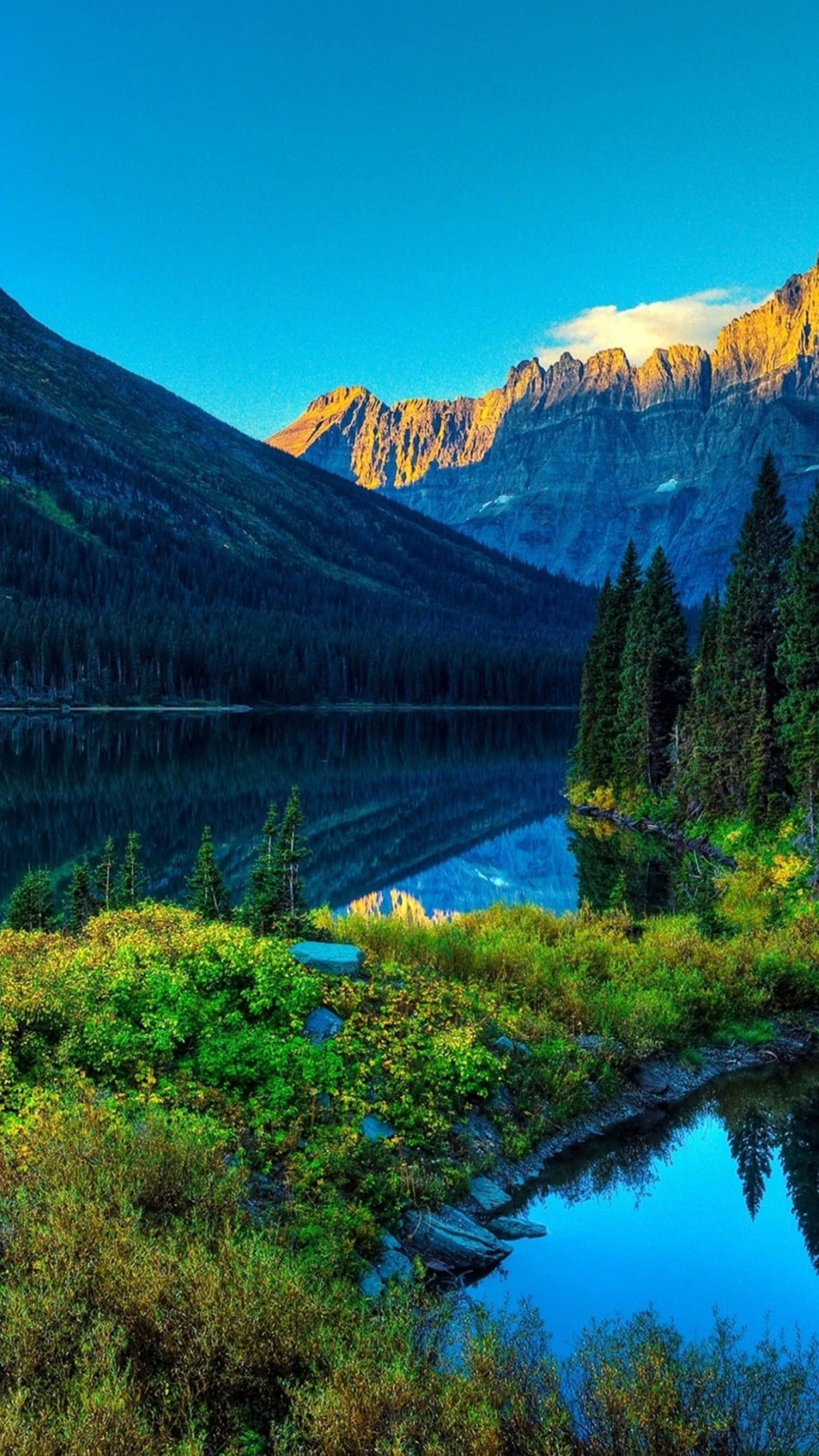 Nature Scenes 桌布 壁紙 — 寧靜的高山湖泊映照著高聳的山脈，清澈藍天下金色陽光凸顯山峰和常青樹。