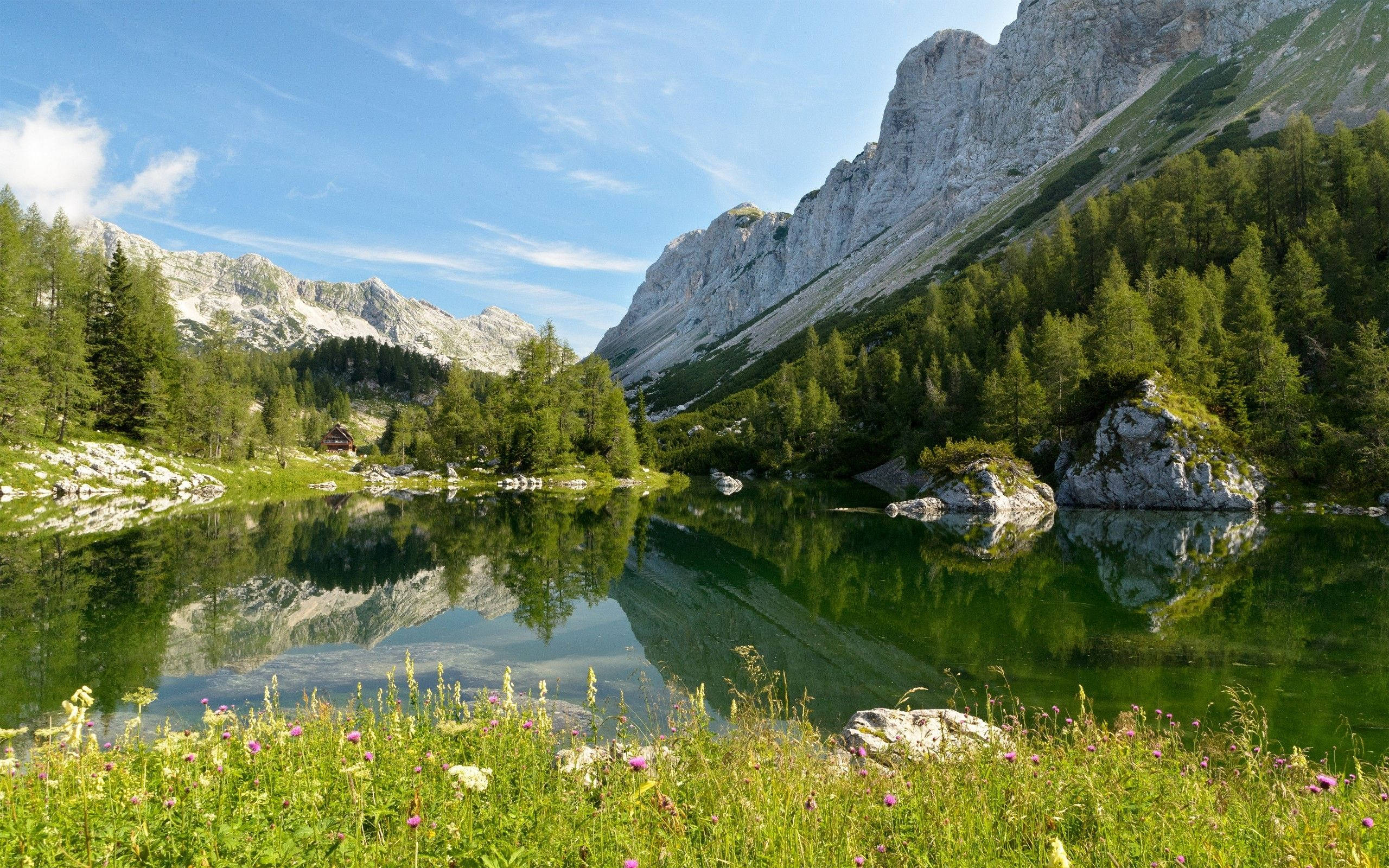 Slovenia 桌布 壁紙 — 寧靜的高山湖泊映照著高聳的岩石山峰和茂密的常綠森林，天空湛藍清澈。