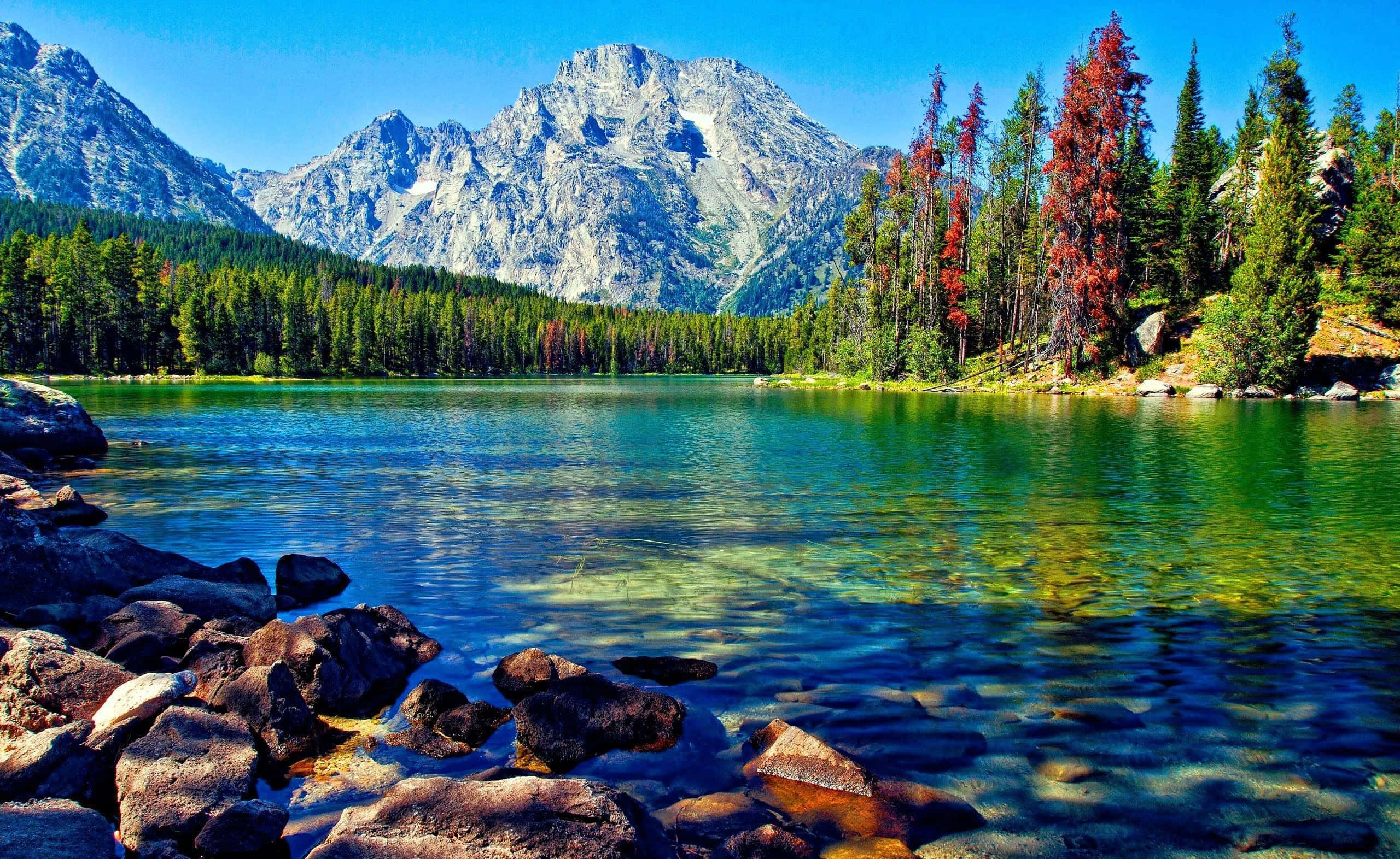 Beautiful Lake 桌布 壁紙 — 寧靜的高山湖泊映照著高聳的雪峰和秋色樹木，在清澈的藍天下。