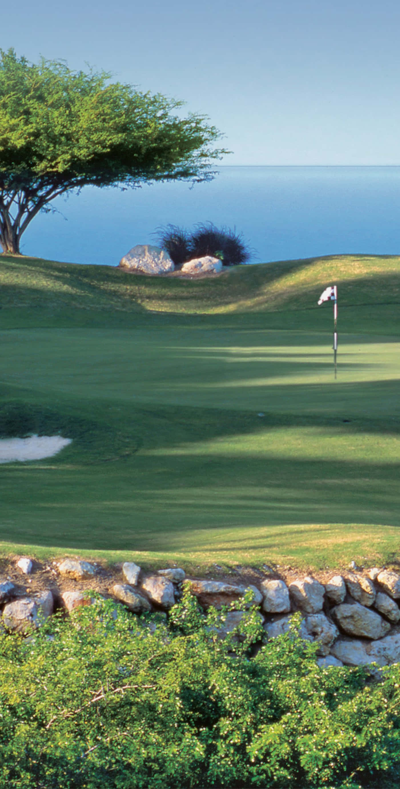 Pixel 3 Golf Course 桌布 壁紙 — 寧靜的高爾夫球場草地斜向海洋，有一棵孤樹和旗桿在晴朗藍天下。