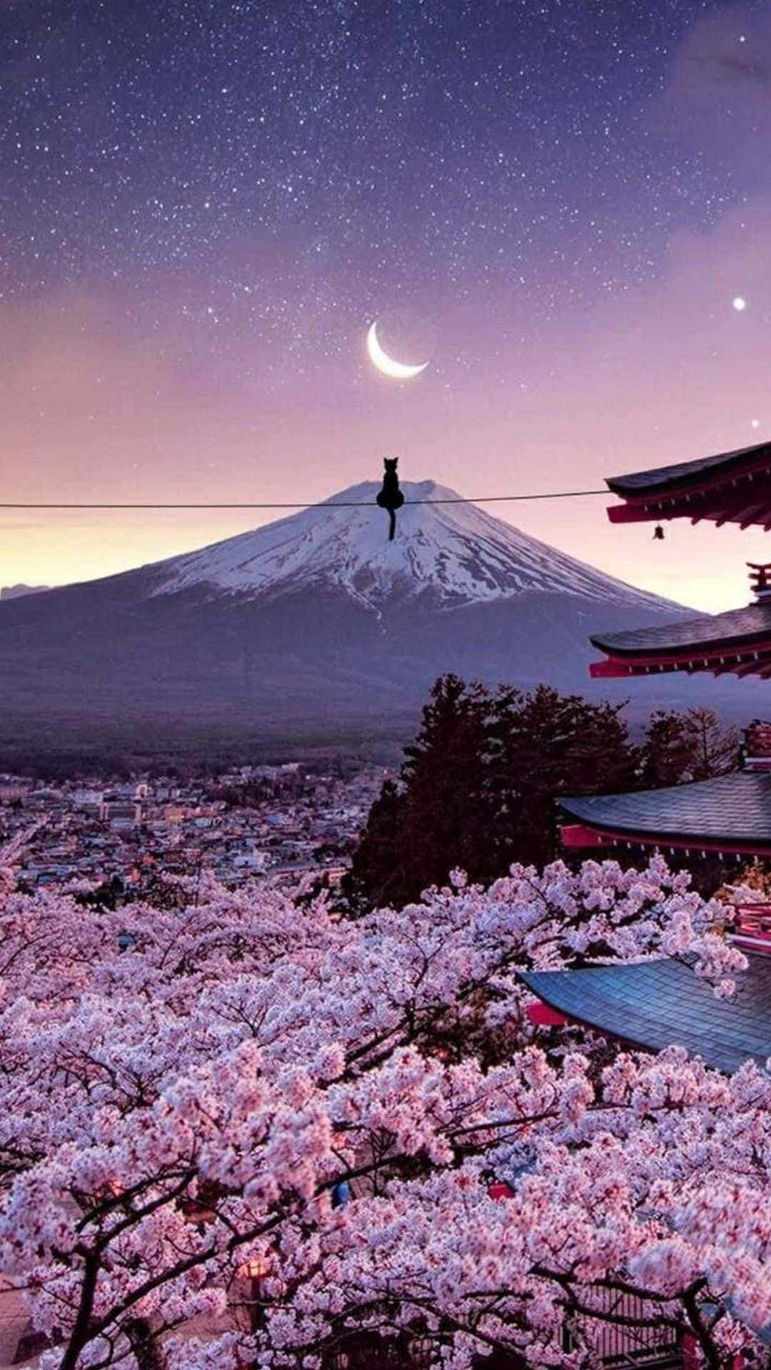 日本 桌布 壁紙 — 寧靜的黃昏場景，富士山在星空和彎月下，被盛開的櫻花和傳統日本建築環繞。