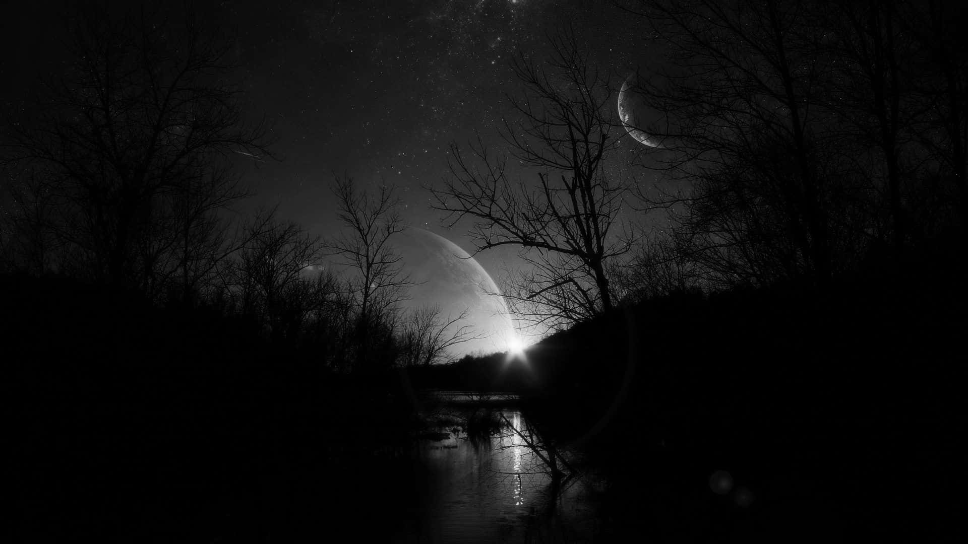Crescent Moon 桌布 壁紙 — 寧靜的黑白夜景，光禿的樹木在星空下形成剪影，一彎新月和一顆發光的天體懸在倒映著星光的河面上。