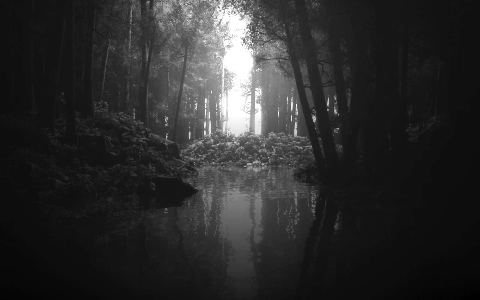 Black And White Aesthetic Pc 桌布 壁紙 — 寧靜的黑白森林場景，平靜的溪流倒映著高大的樹木，柔和的光線穿過樹冠。