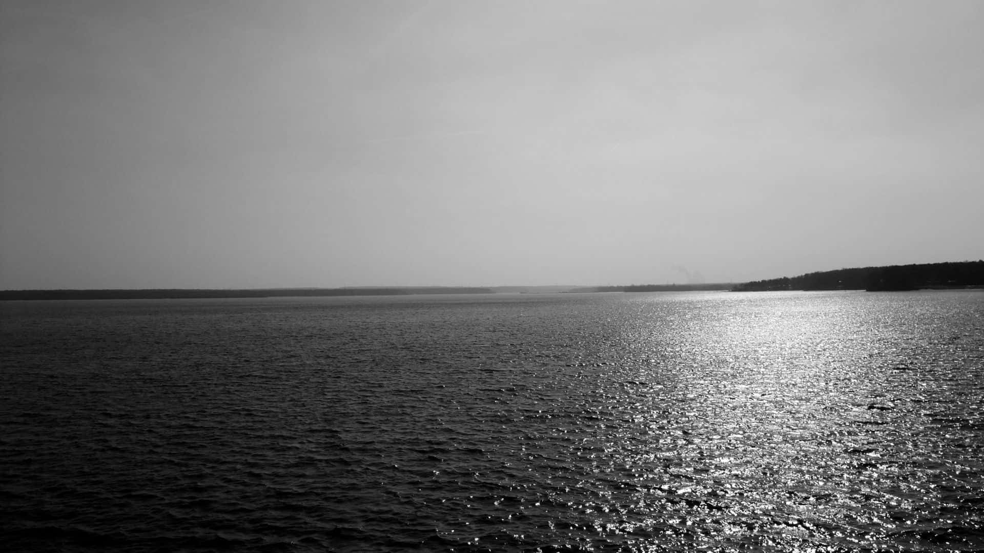 海洋 桌布 壁紙 — 寧靜的黑白湖景，水面有輕柔的漣漪和明亮的陽光倒影，靠近遠處樹木成行的岸邊。