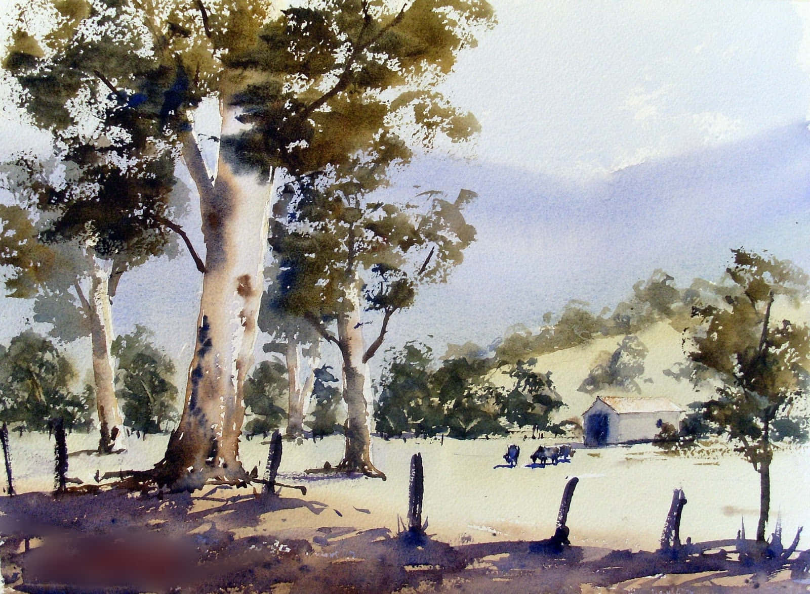 Watercolor 桌布 壁紙 — 寧靜鄉村景觀的水彩畫，有高大的桉樹、遠處的穀倉和柔和的天空下吃草的牛群。