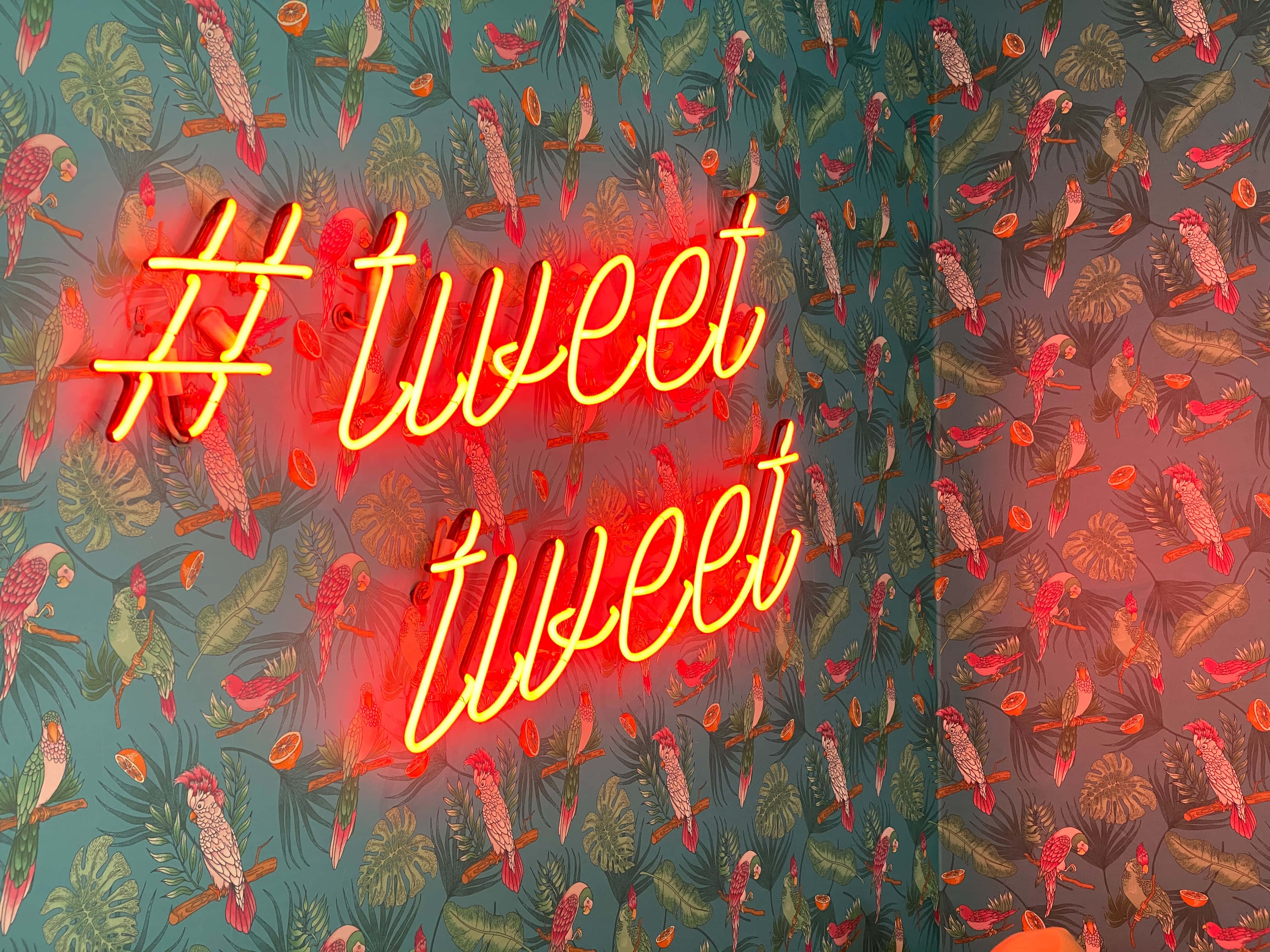 Twitter Header 桌布 壁紙 — 寫有 hashtag tweet tweet 的鮮豔霓虹燈牌，在熱帶鸚鵡和樹葉圖案的壁紙上發光。