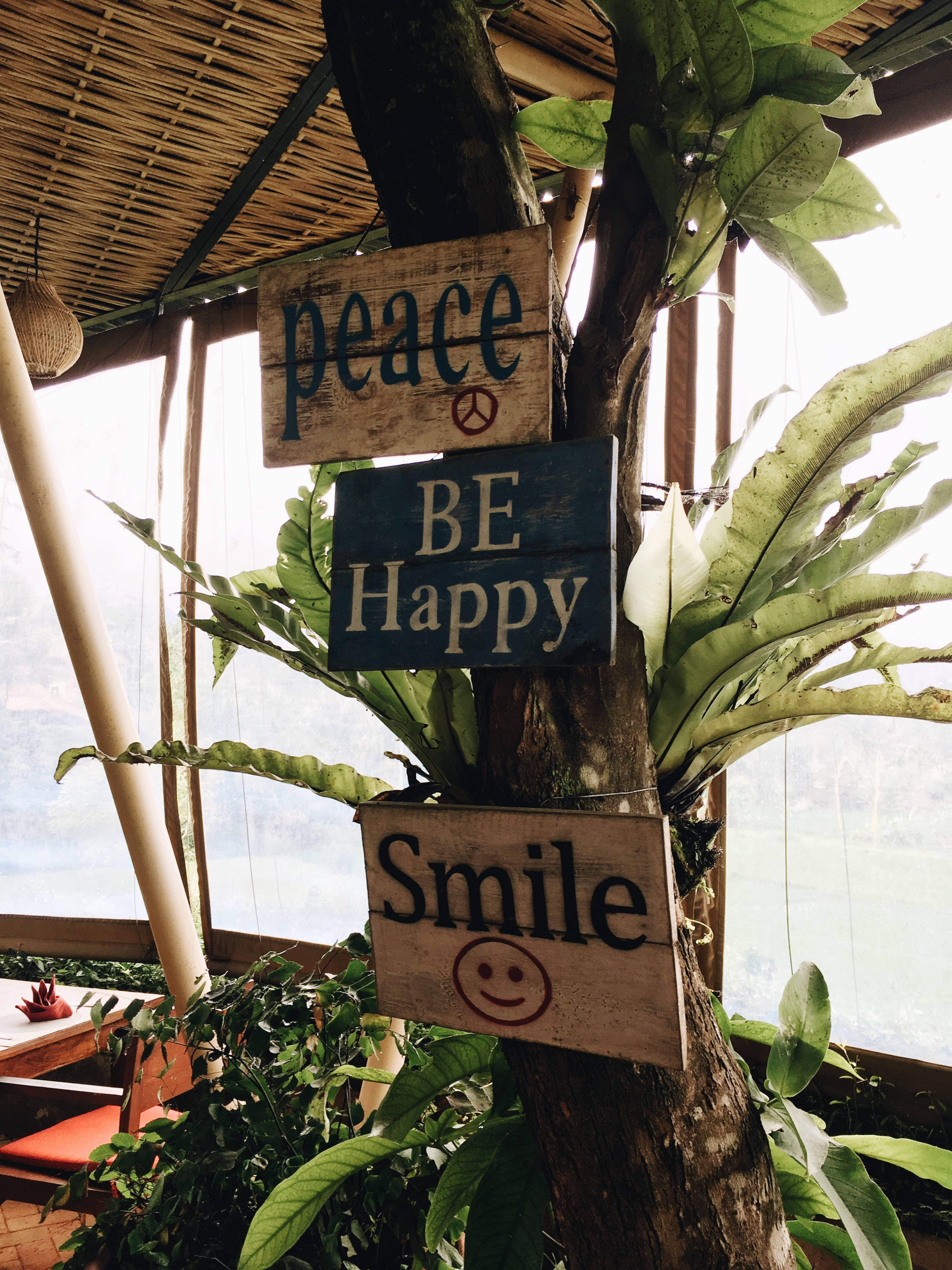 Peace Symbol 桌布 壁紙 — 寫有peace be happy smile的木牌掛在樹幹上，周圍是茂密的綠色植物，位於明亮的露天咖啡館。