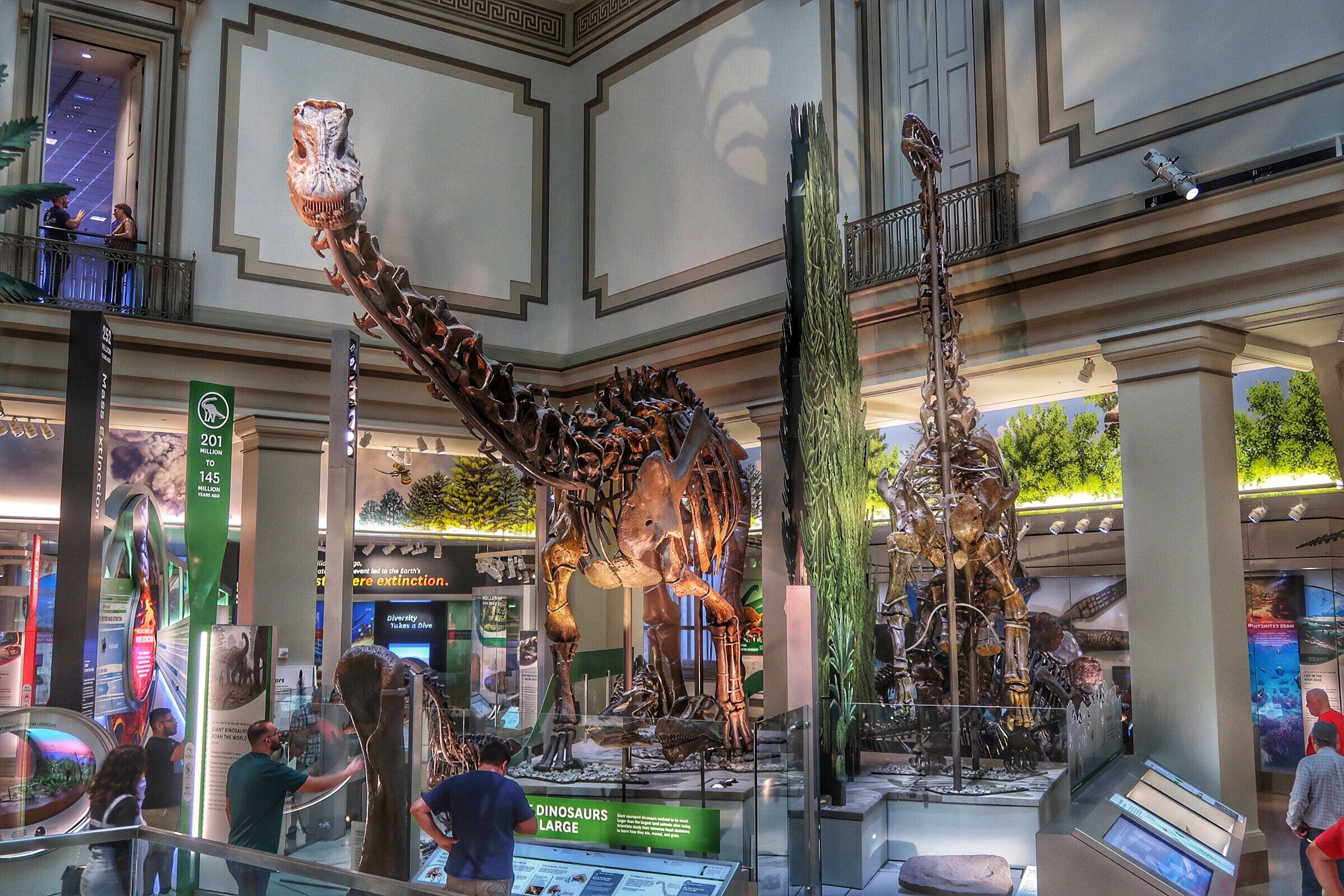 Smithsonian 桌布 壁紙 — 寬敞的博物館大廳在明亮的燈光下展示高聳的恐龍骨架，遊客正在探索展品。