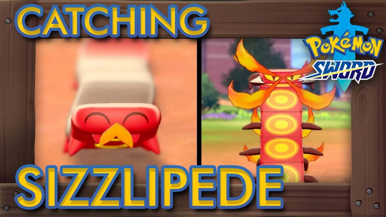 Sizzlipede 桌布 壁紙 — 《寶可夢 劍》遊戲的分割畫面，顯示一隻紅色的燒火蚣正被精靈球捕捉。