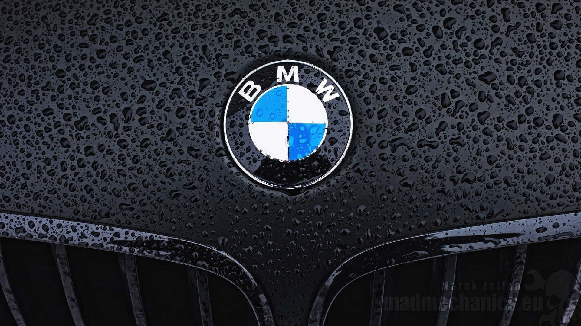 BMW 動圖 桌布 壁紙 — 寶馬標誌特寫，位於濕透的黑色引擎蓋上，雨滴在柔和光線下閃爍。