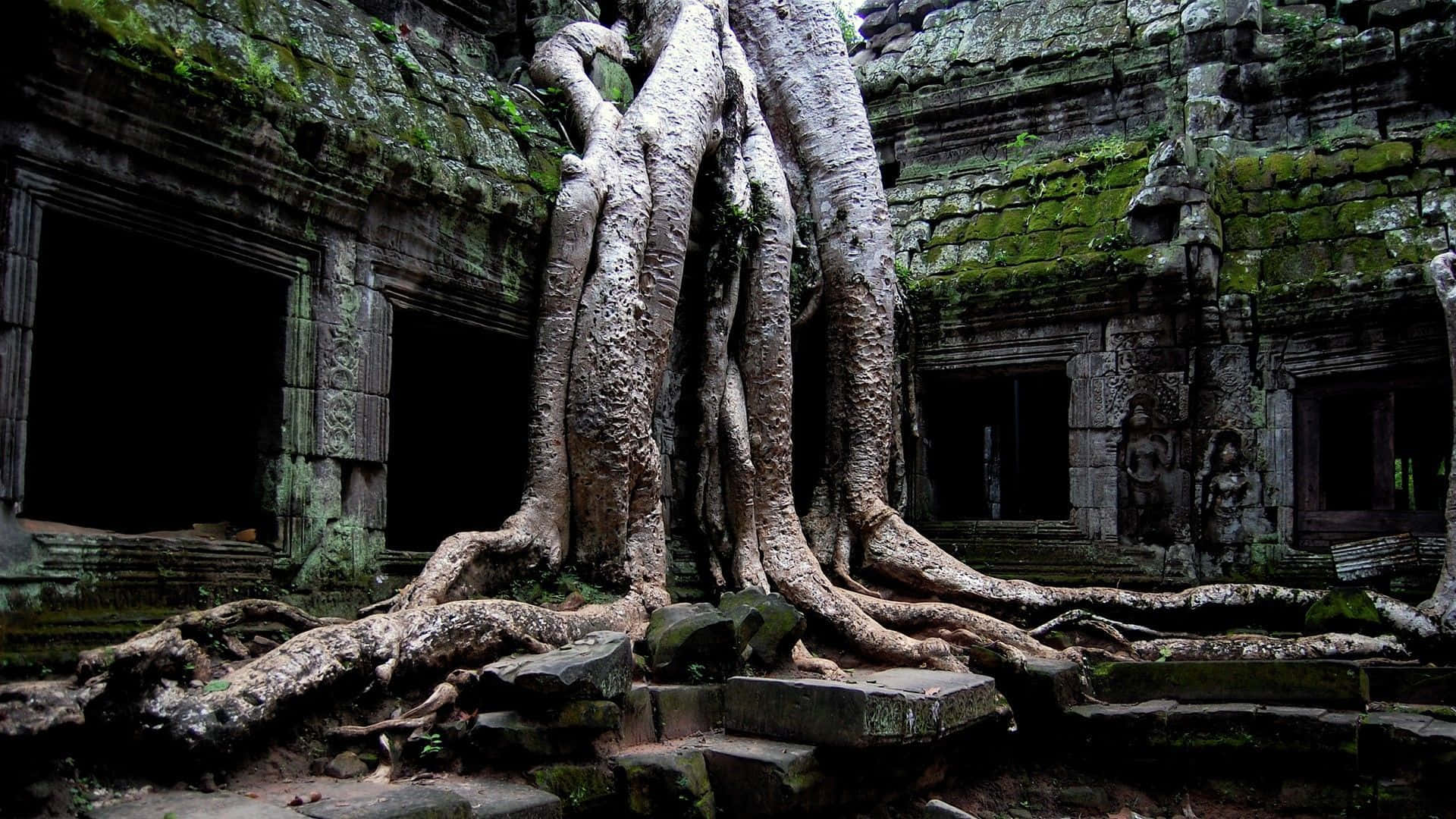 寺廟圖片 — 廟宇 壁紙