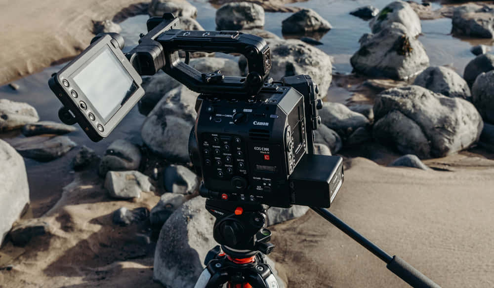 影片 桌布 壁紙 — 專業Canon電影攝影機安裝在三腳架上，在岩石海灘的黃金時段設置。