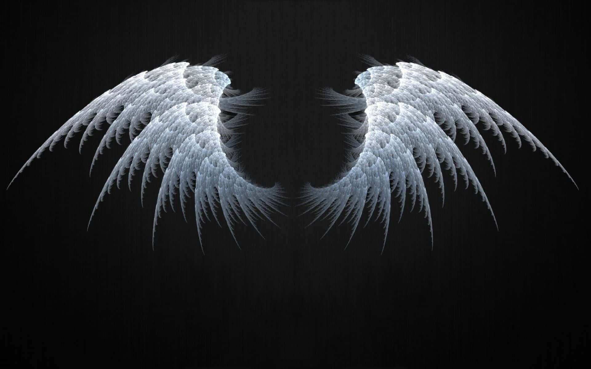 Angel Wings 桌布 壁紙 — 對稱的白色天使翅膀帶有冰藍色亮點，在深色紋理背景上展開。