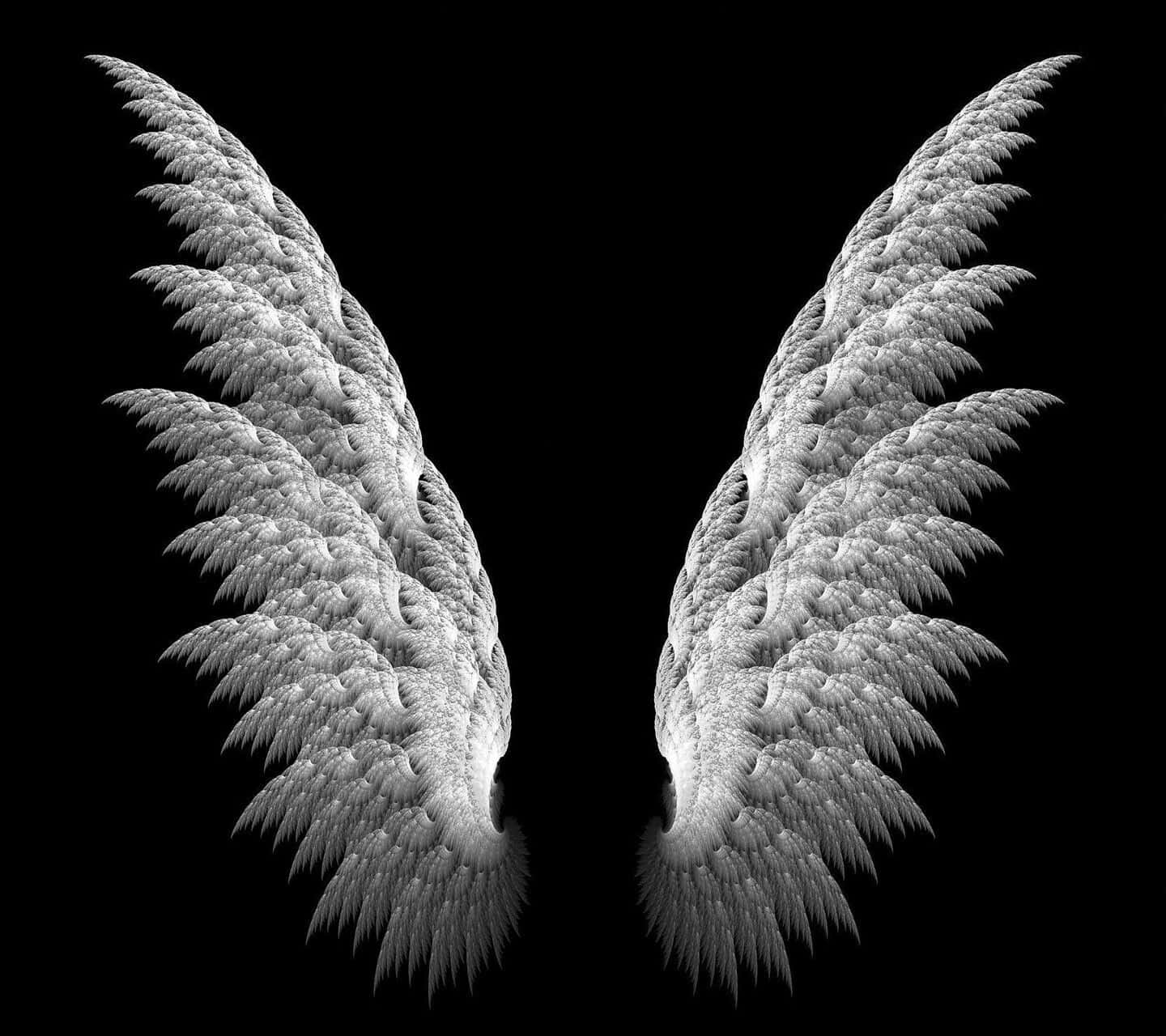 Angel Wings 桌布 壁紙 — 對稱的碎形翅膀帶有複雜的羽毛圖案，在純黑背景上柔和發光。