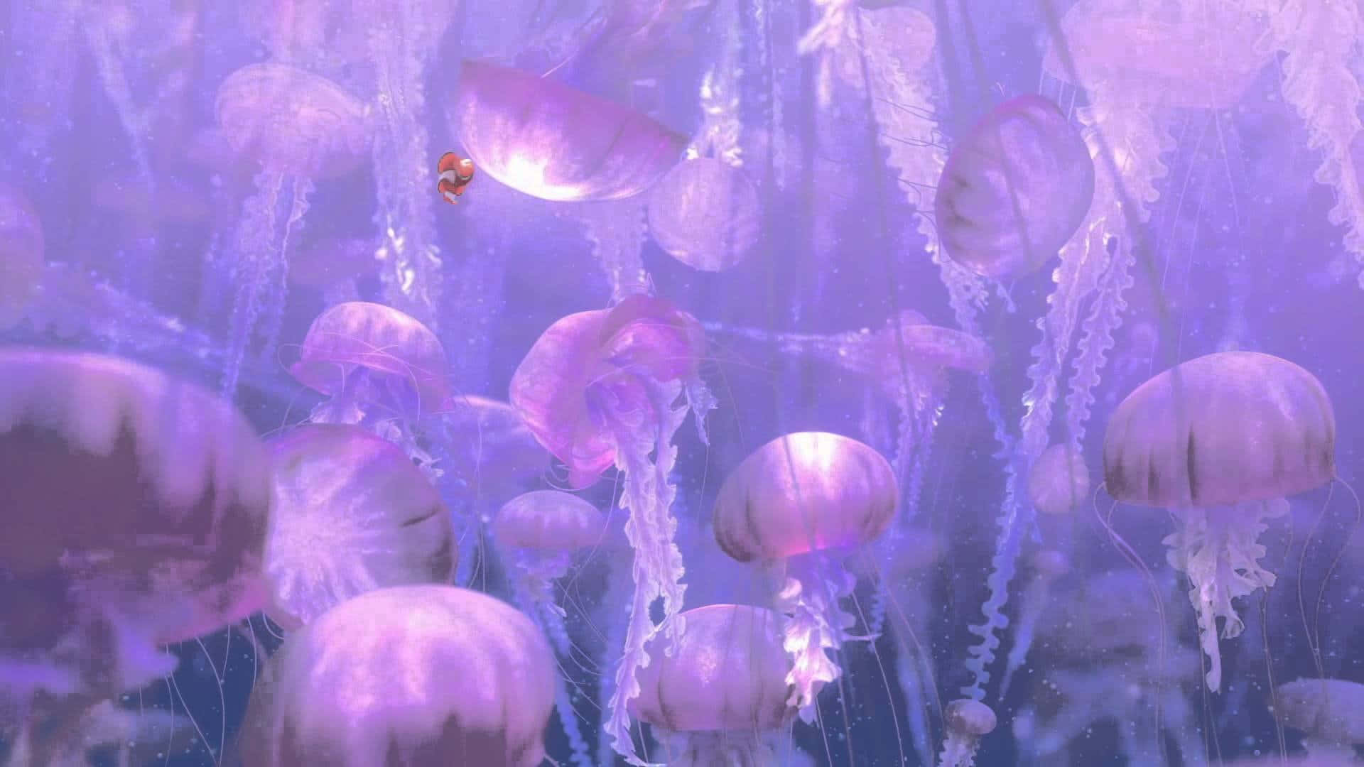 Kawaii Sea Creatures 桌布 壁紙 — 小丑魚在發光的紫色水母中游動，夢幻般的水下場景。