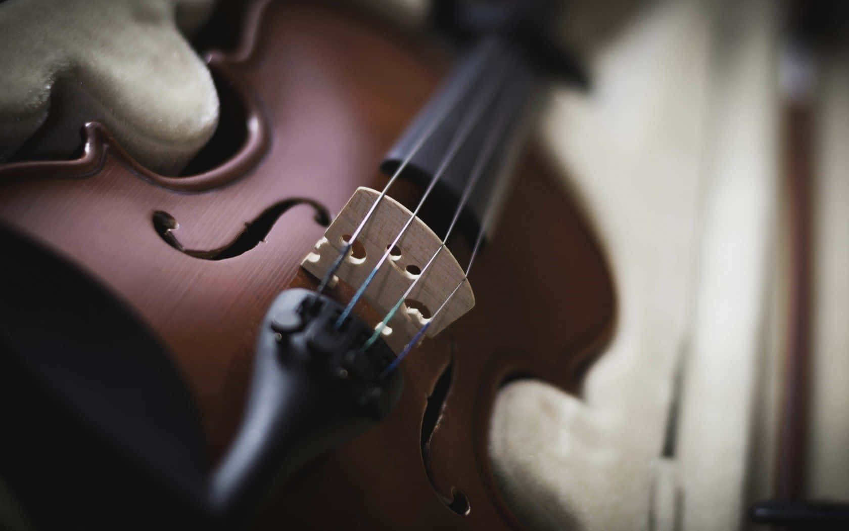 violin 桌布 壁紙 — 小提琴的琴頭和琴弦特寫，柔焦於木製琴身和米色琴盒。