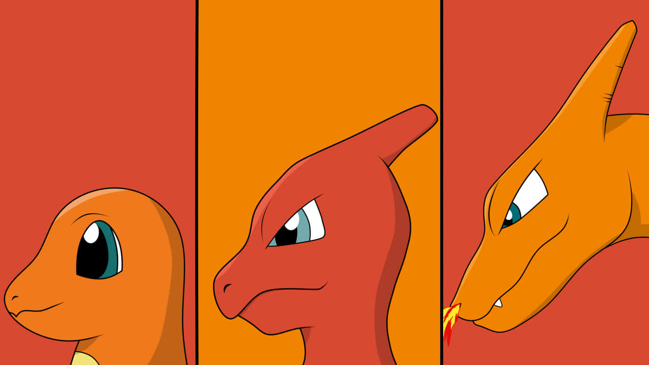 Cute Charmander 桌布 壁紙 — 小火龍、查奎爾、噴火龍三個階段以側面輪廓展示，背景為暖色漸變。