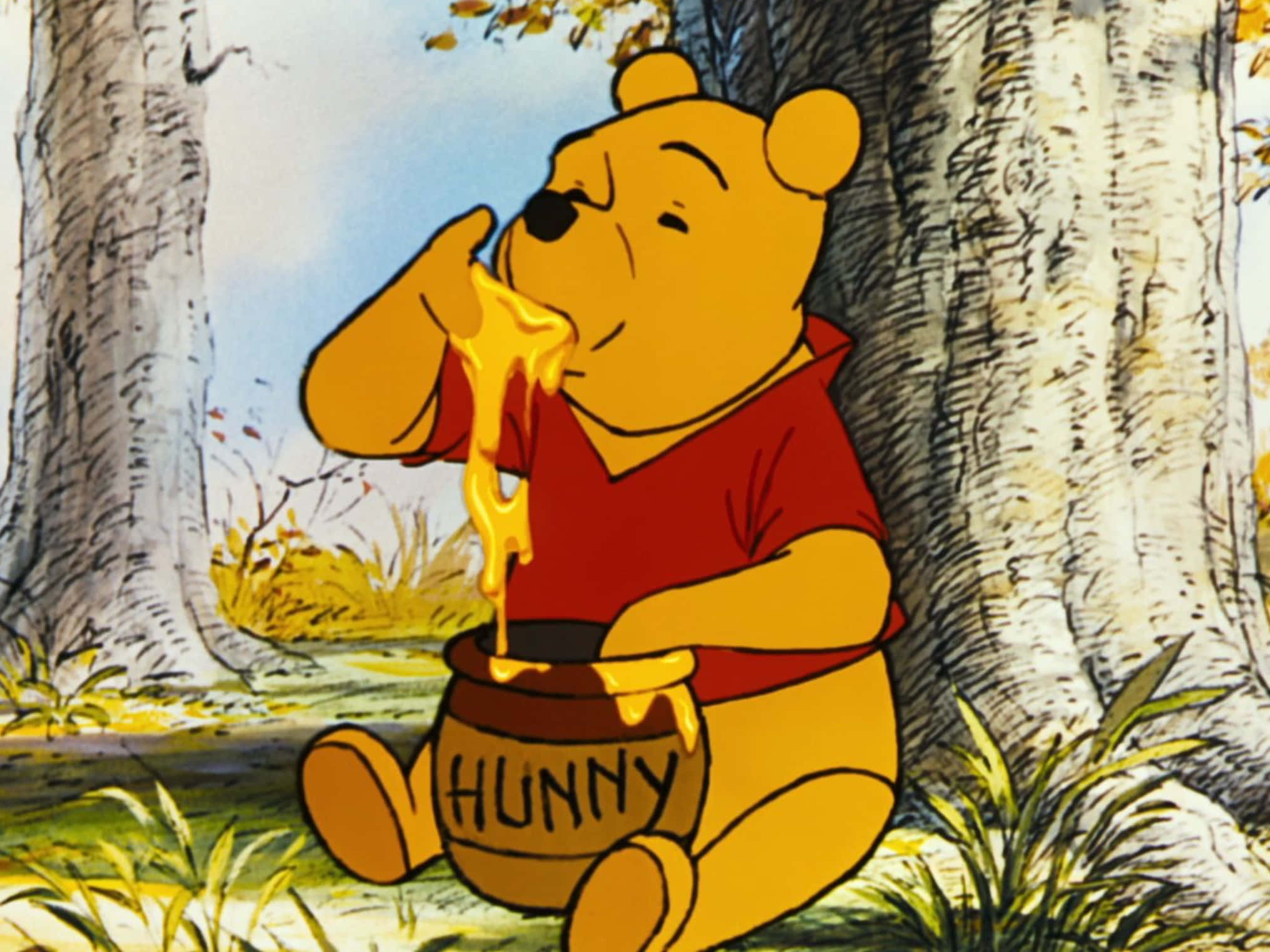 winnie the pooh 桌布 壁紙 — 小熊維尼坐在陽光明媚的森林中的一棵樹下，高興地吃著標有HUNNY的罐子裡的蜂蜜。