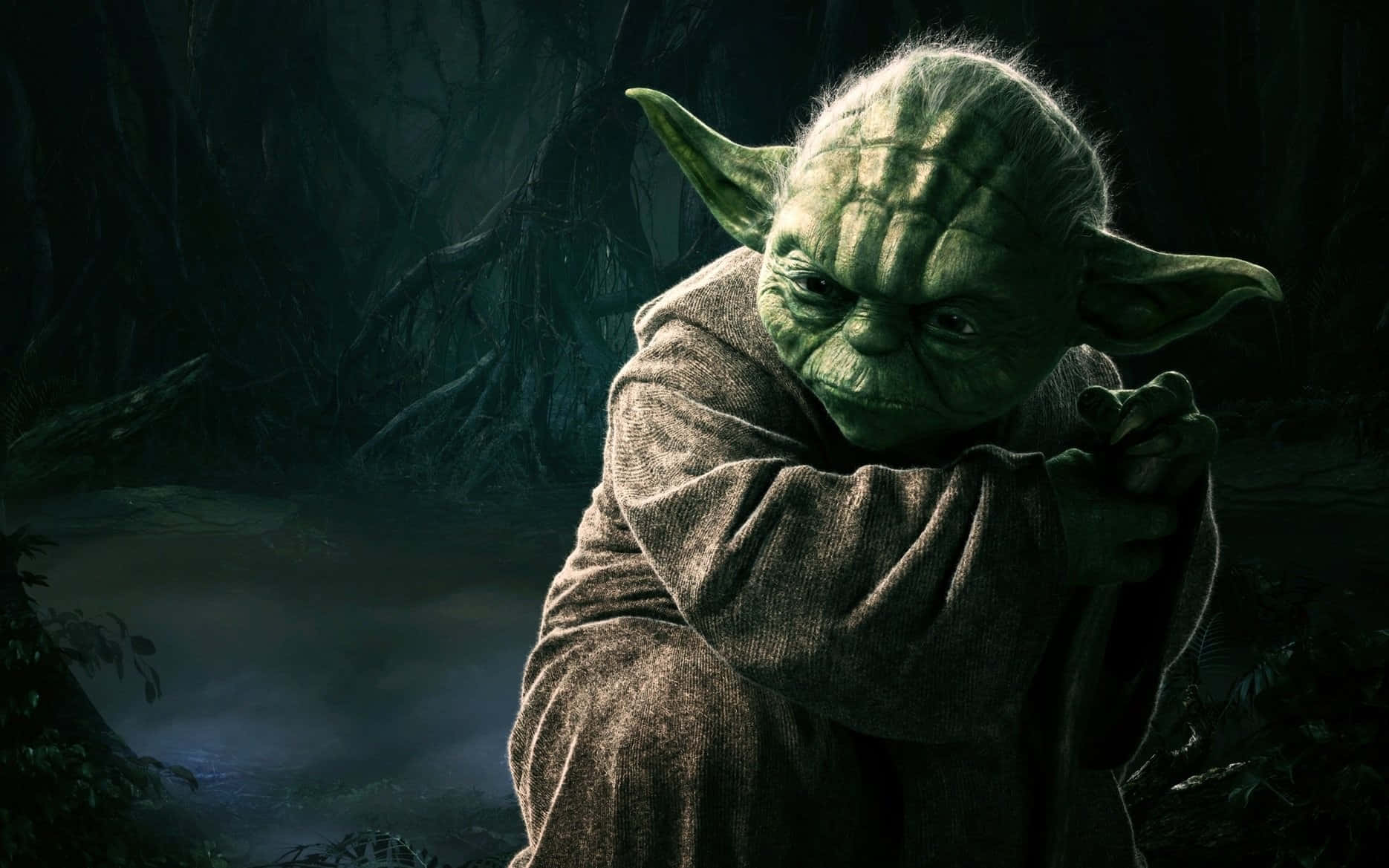 Star Wars Jedi 桌布 壁紙 — 尤達站在一個迷霧森林的空地中，周圍有彎曲的樹根，昏暗的光線在他皺巴巴的綠色臉上投下陰影。