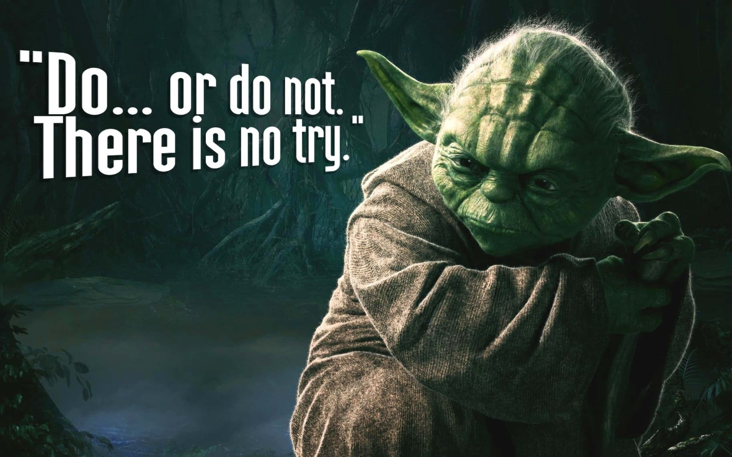 Funny Star Wars 桌布 壁紙 — 尤達站在迷霧森林中，手持法杖，表情堅定，白色文字顯示著「做或不做，沒有嘗試」的引言。