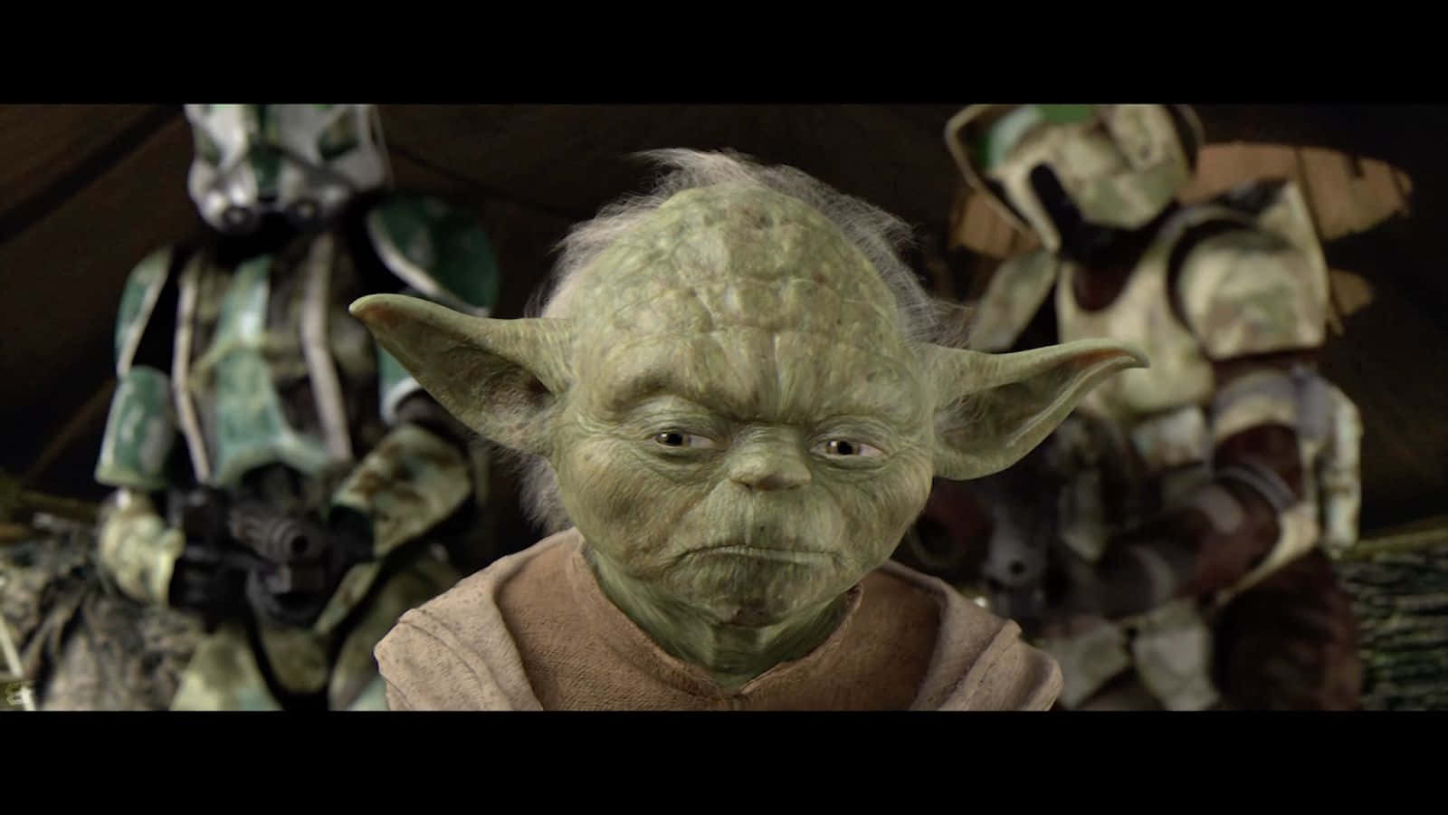The Order 66 桌布 壁紙 — 尤達身穿棕色長袍，在昏暗的環境中莊嚴地站著，身後是身穿裝甲的複製人士兵。