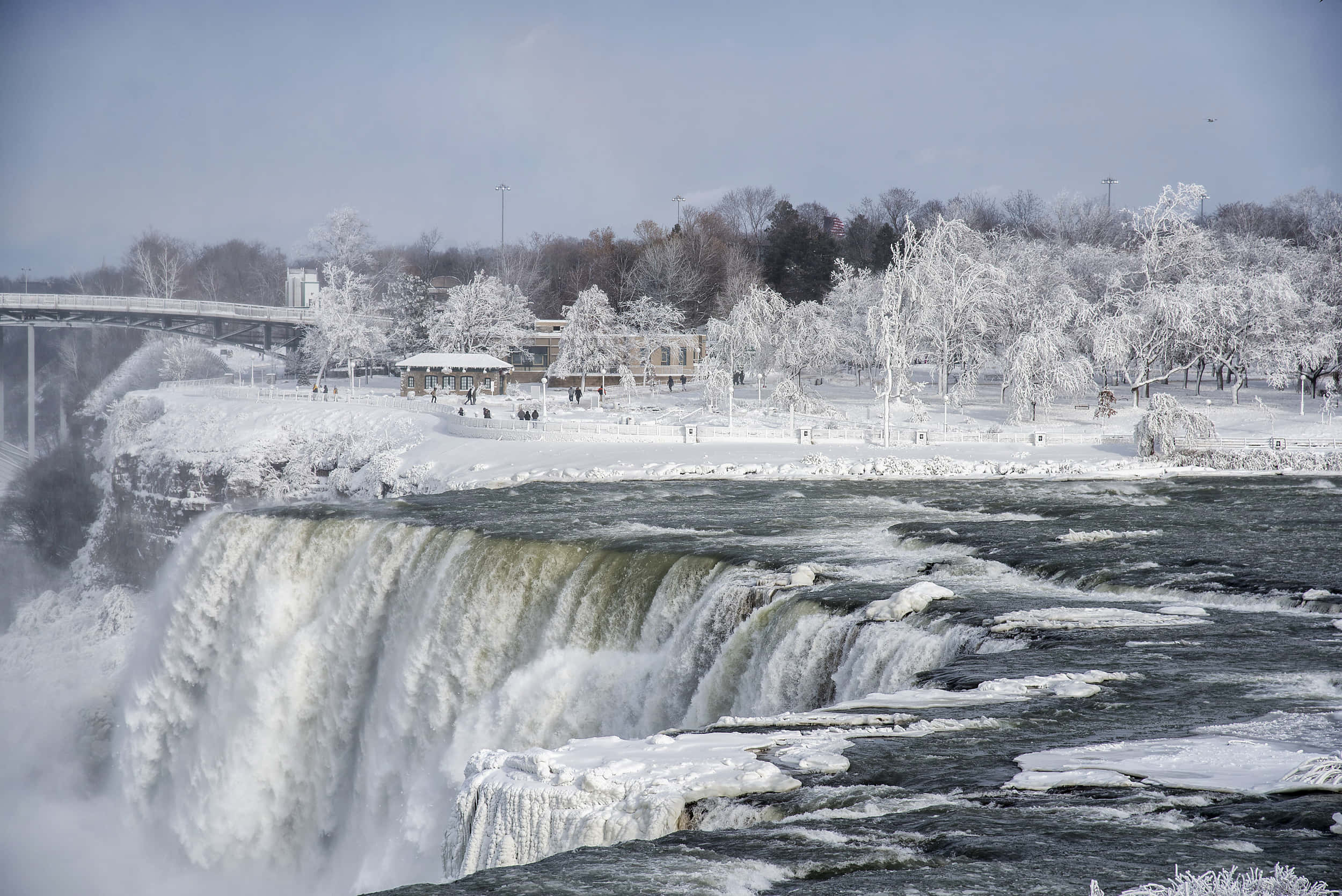Niagara Falls 桌布 壁紙 — 尼亞加拉大瀑布在蒼白的天空下，穿過白雪覆蓋的樹木和冰封邊緣的冬季仙境，強有力地傾瀉而下。