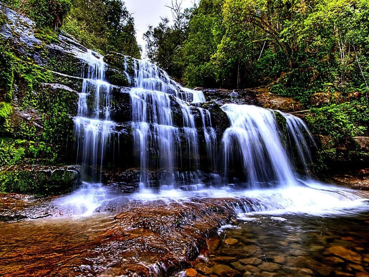3d Waterfall 桌布 壁紙 — 層疊的瀑布從長滿苔蘚的岩石上傾瀉而下，流入被茂密綠色森林環繞的清澈水池。