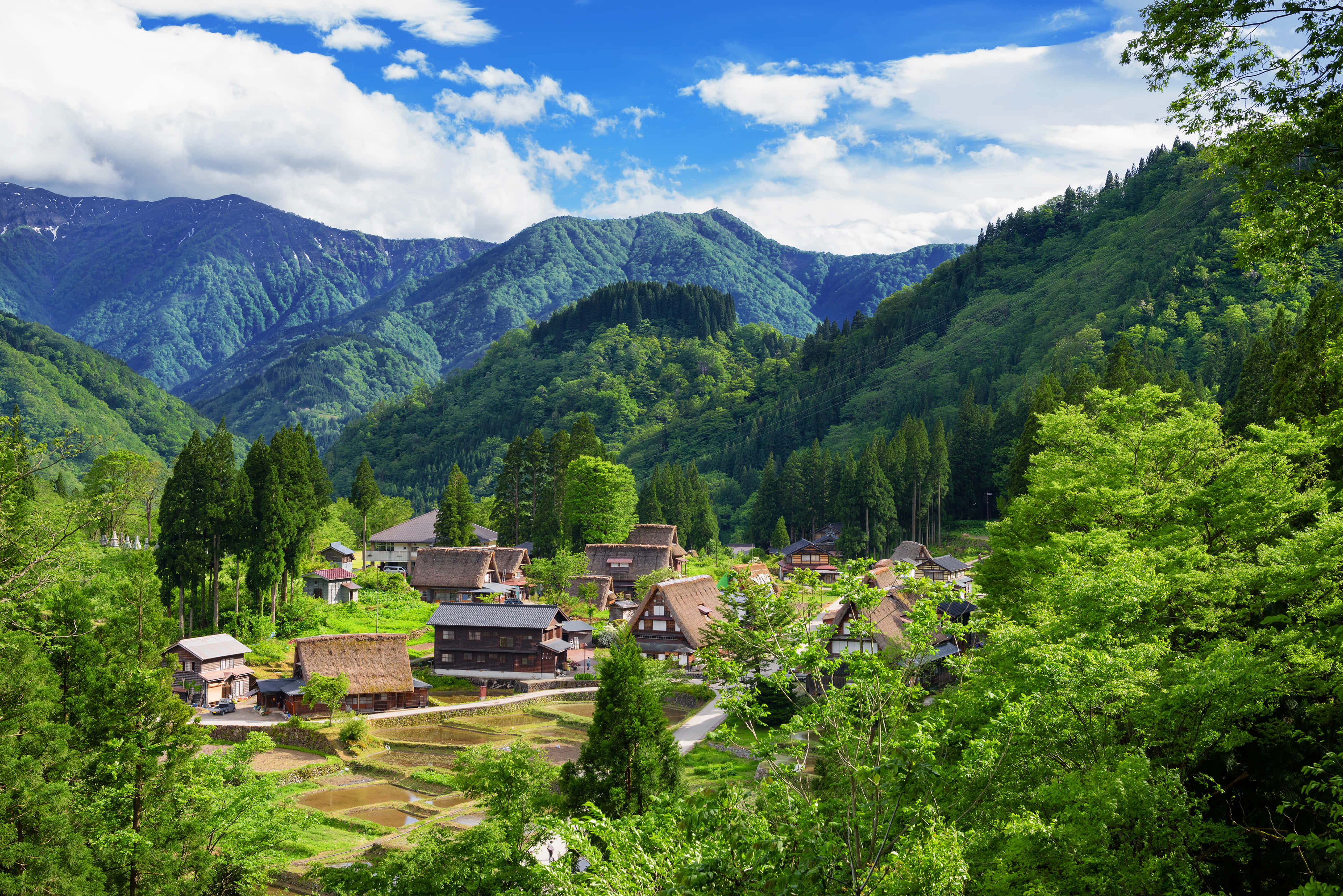 山間村落，樹木與群山環繞 壁紙
