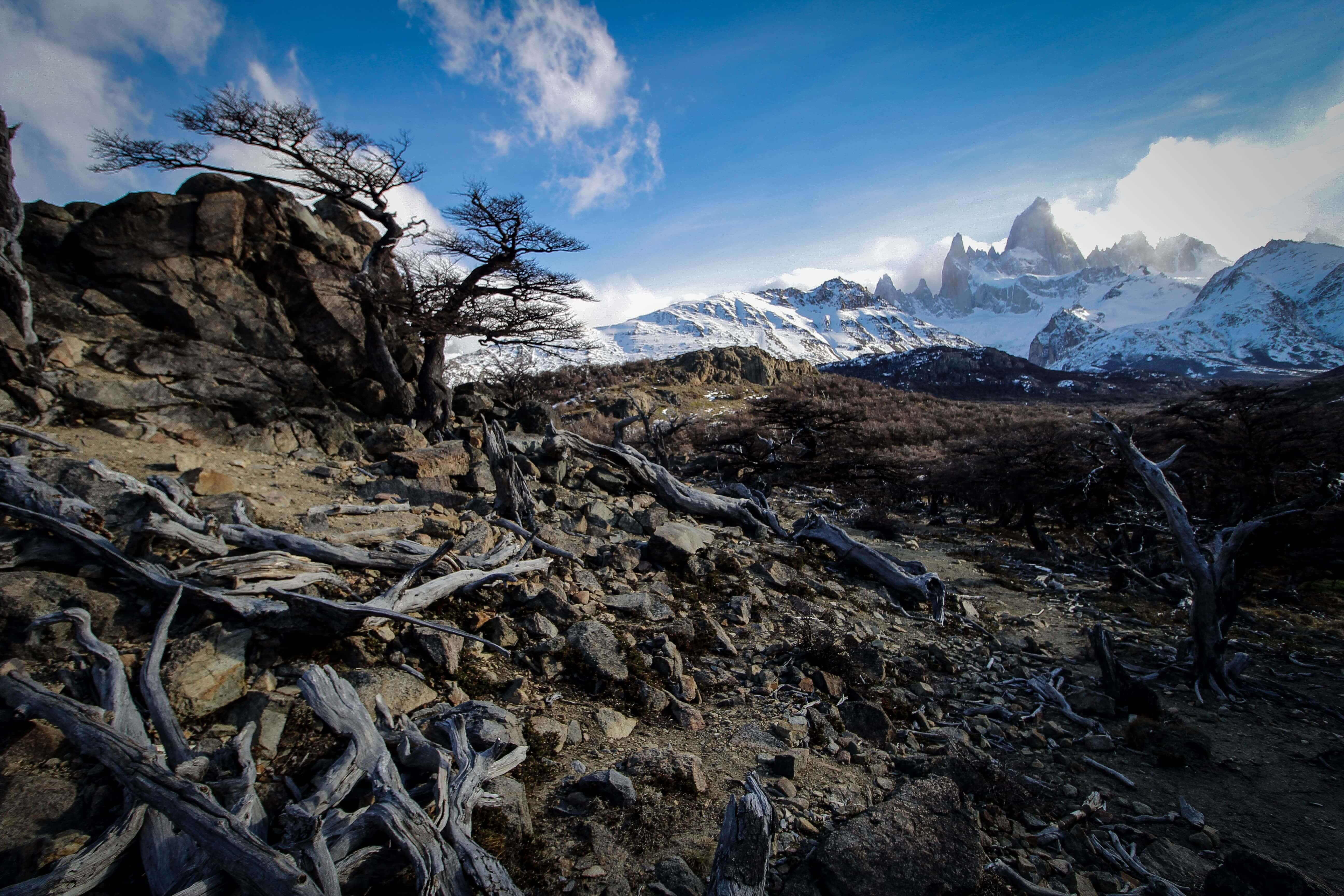 山脈 桌布 壁紙 — 崎嶇的山地景觀，藍天白雲下雪覆蓋的山峰，岩石地形上長著扭曲的樹木。