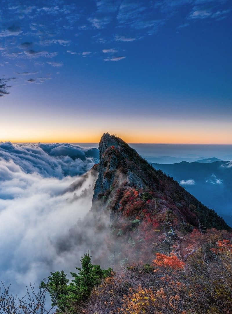 Blue Mountains National Park 桌布 壁紙 — 崎嶇的山峰在日出時刺穿雲海，秋葉在漸變的天空下閃耀著火紅和橙色。