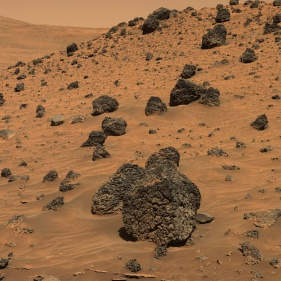 Mars Surface 桌布 壁紙 — 崎嶇的深色岩石點綴在廣闊的橙紅色火星沙漠上，天空朦朧。