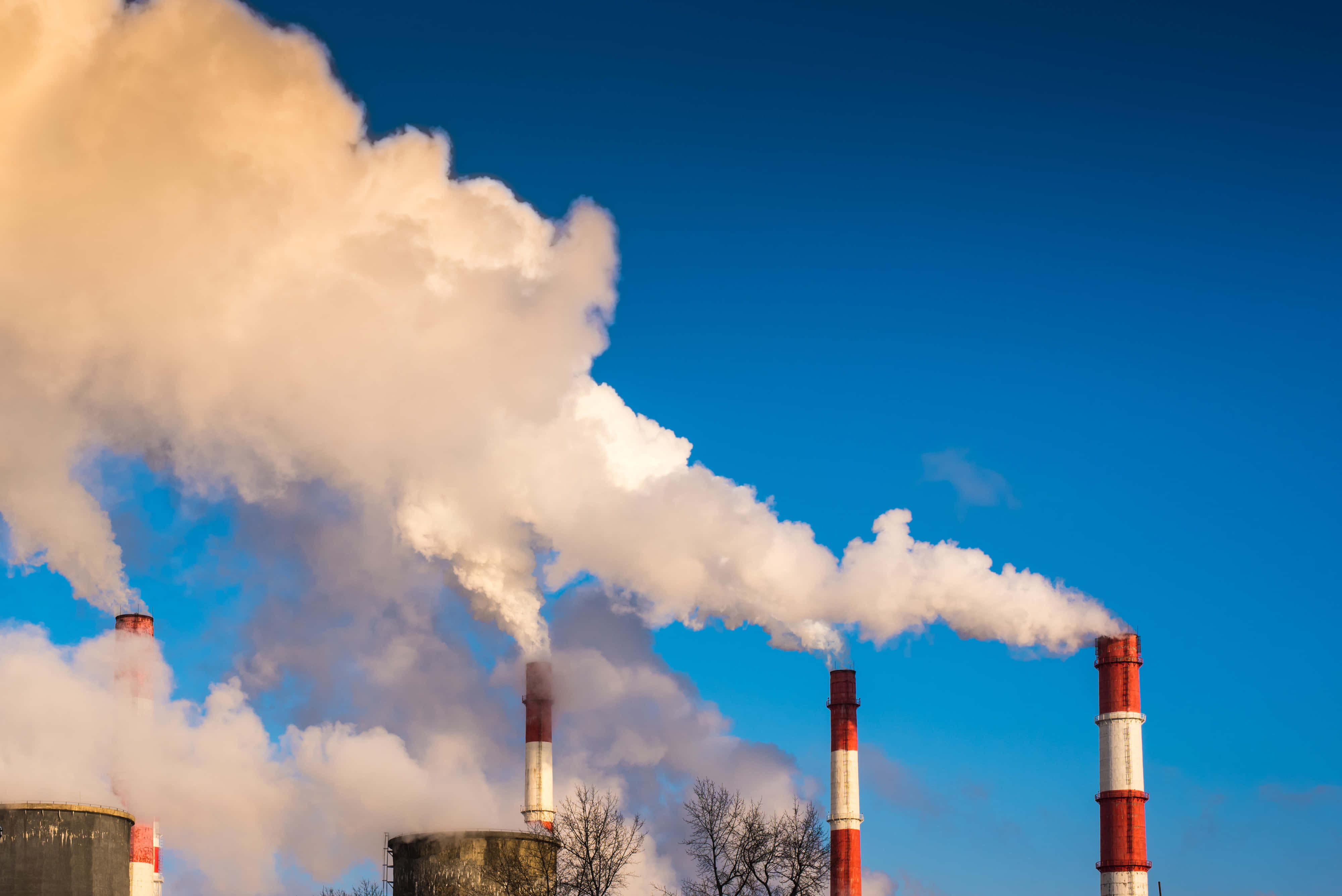 Pollution 桌布 壁紙 — 工業煙霧從紅白煙囪中滾滾冒出，映襯著晴朗的藍天，下方是光禿禿的樹木。