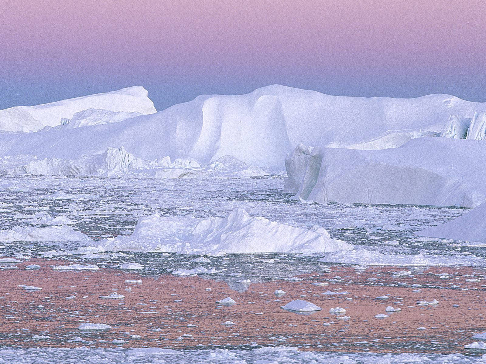 Greenland 桌布 壁紙 — 巨大的冰山在平靜的海面上靜靜漂浮，天空呈現柔和的粉紅色和紫色暮光。