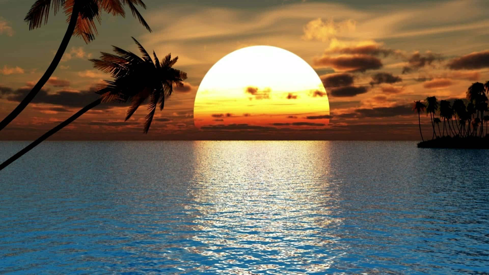 海洋 桌布 壁紙 — 巨大的太陽在平靜的海面上落下，剪影的棕櫚樹框住了地平線。