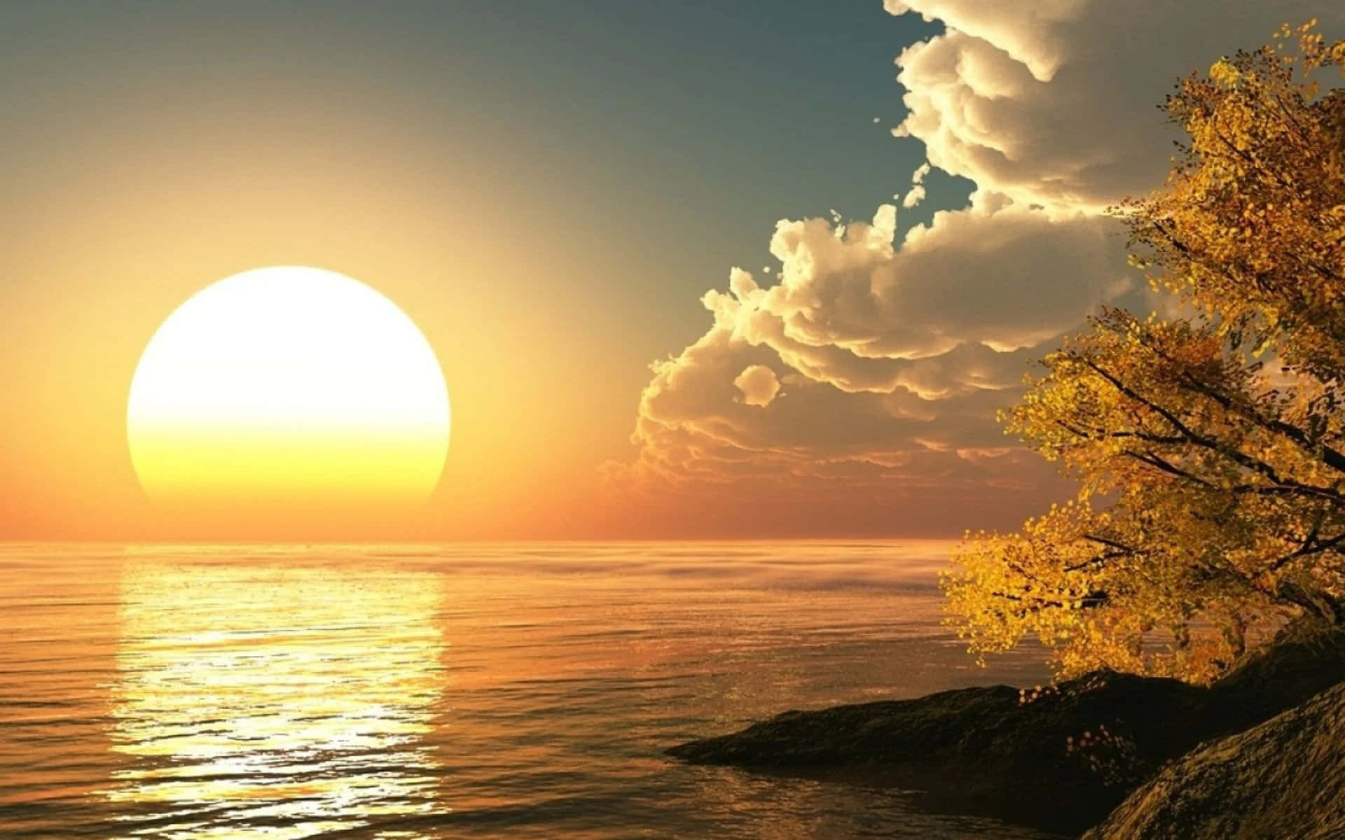 雲朵 桌布 壁紙 — 巨大的太陽在平靜的海面上落下，將金色光芒灑在雲朵和一棵帶有秋葉的樹上。
