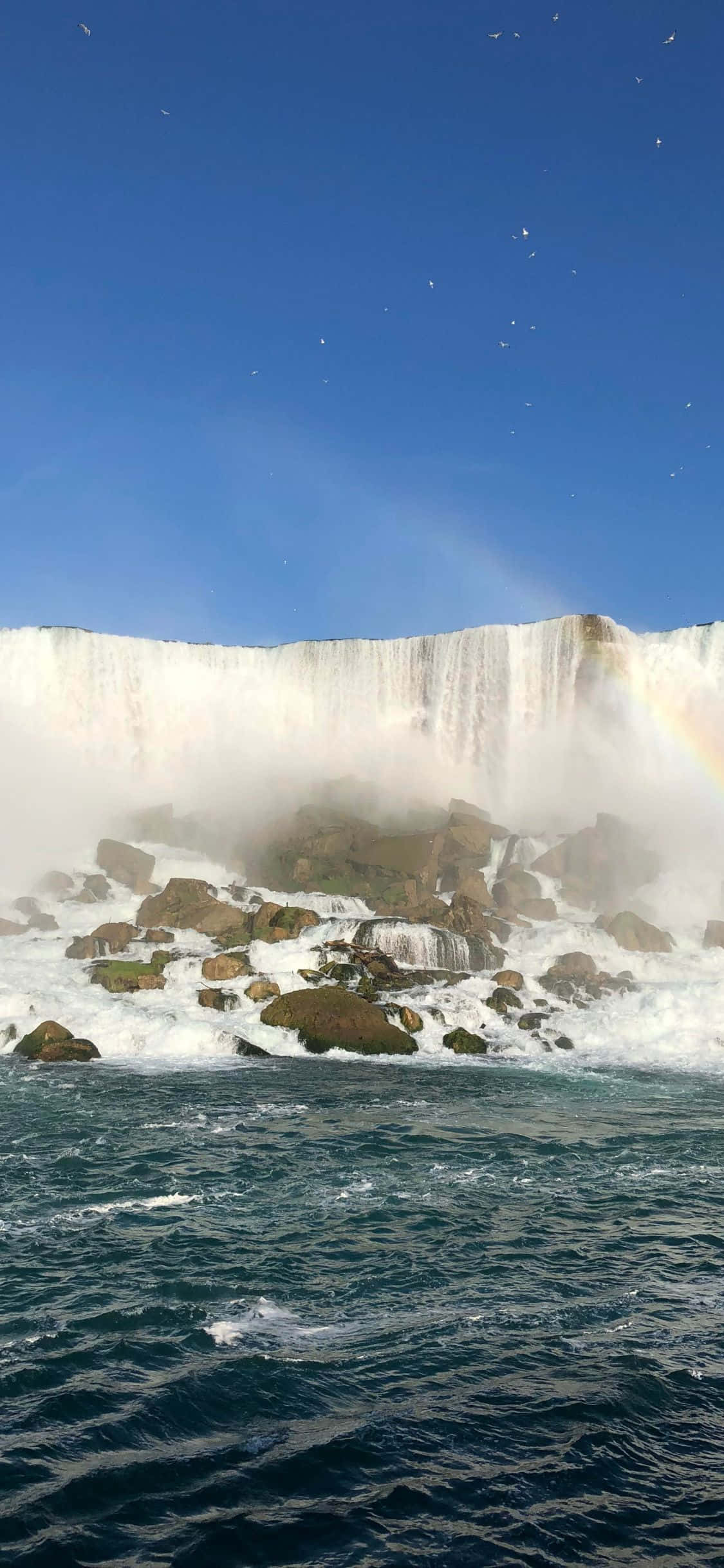 Niagara Falls Canada 桌布 壁紙 — 巨大的瀑布從岩石懸崖傾瀉而下，落入湍急的河流，在晴朗的藍天下，薄霧中有一道淡淡的彩虹。