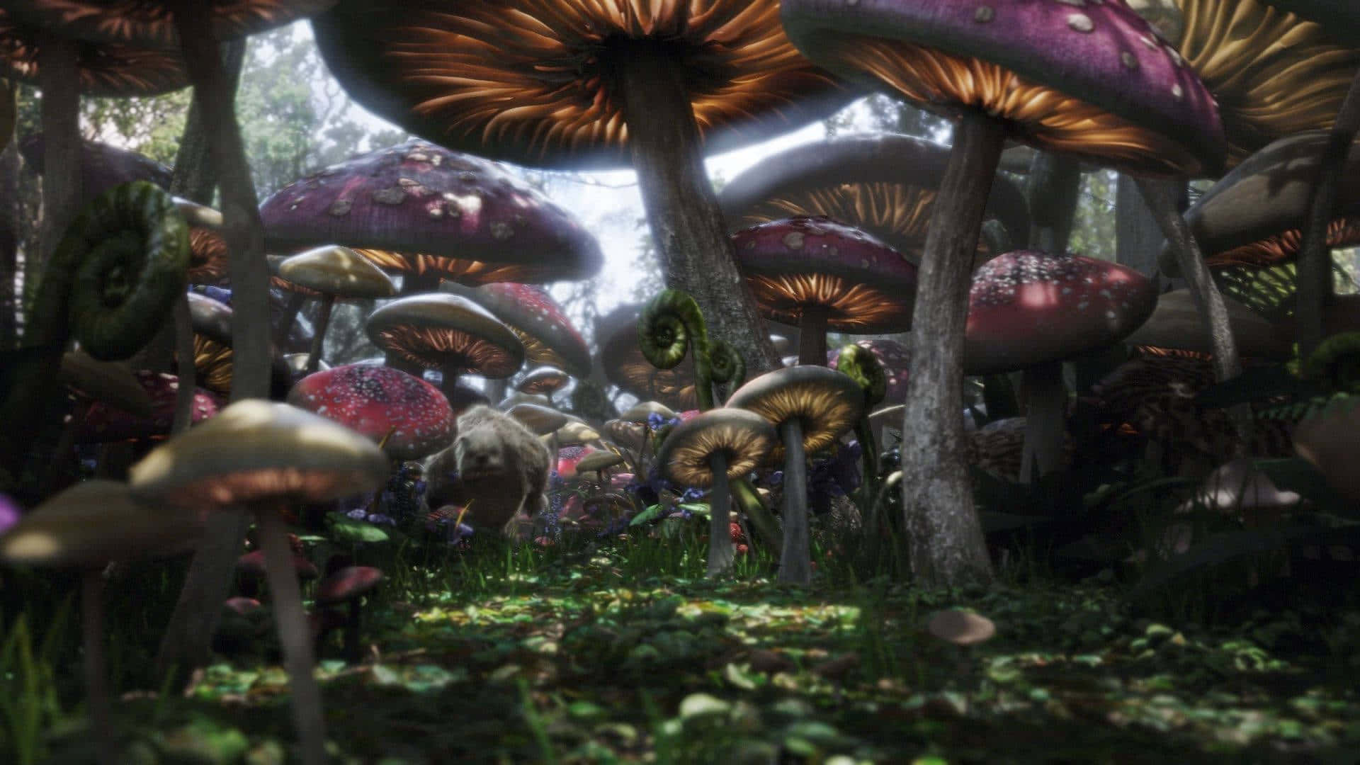 Mushroom 桌布 壁紙 — 巨大的發光蘑菇，紫色菌蓋和金色底部，從長滿苔蘚的森林地面升起，沐浴在柔和斑駁的光線中。