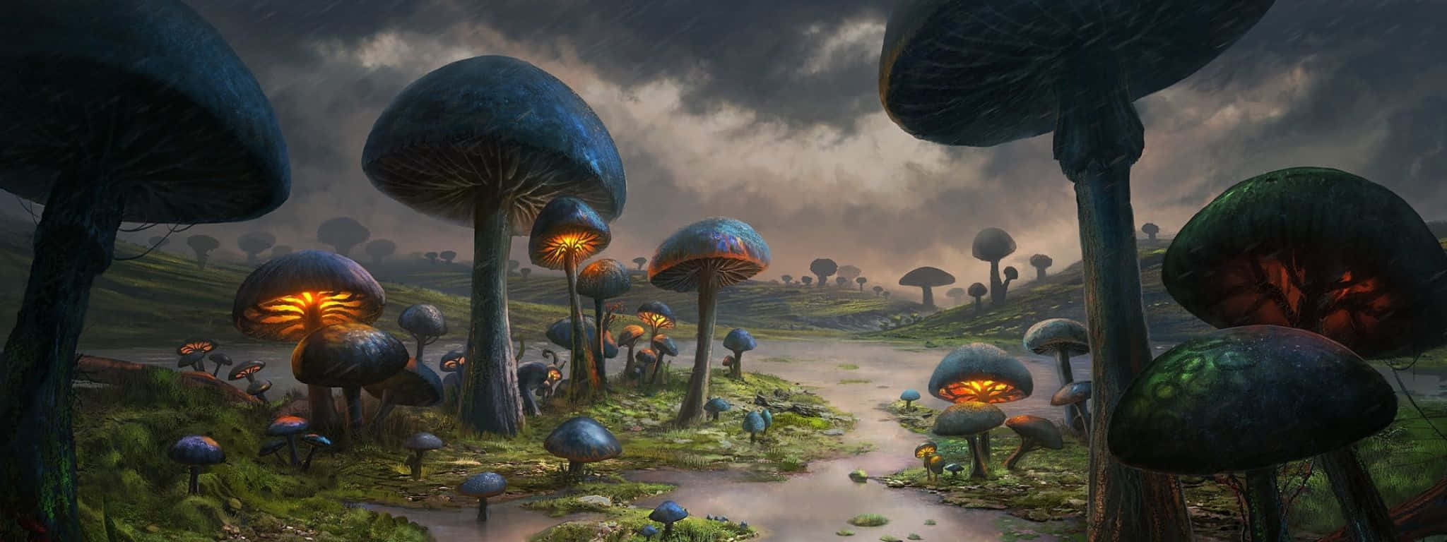 2048x768 桌布 壁紙 — 巨大的發光蘑菇在暴風雨黃昏的天空下照亮了迷霧森林小徑。