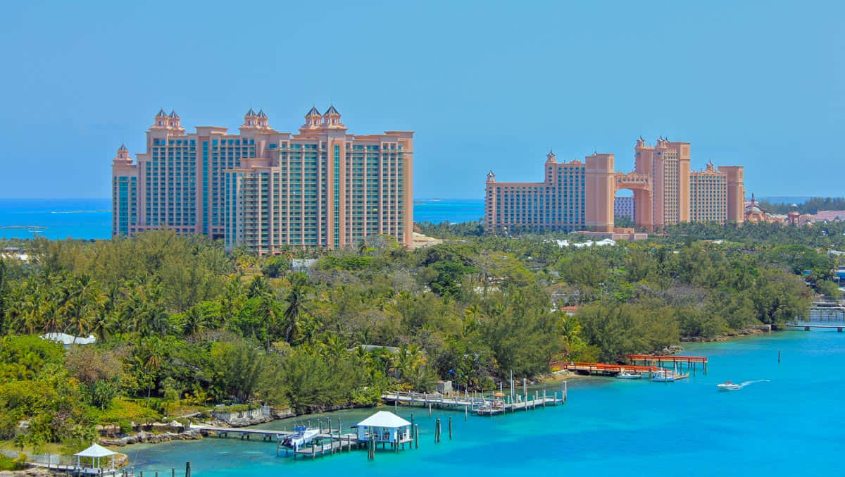 Bahamas Island 桌布 壁紙 — 巨大的粉紅色度假村塔樓在清澈藍天下，聳立於碧綠海水旁的茂密綠植之上。