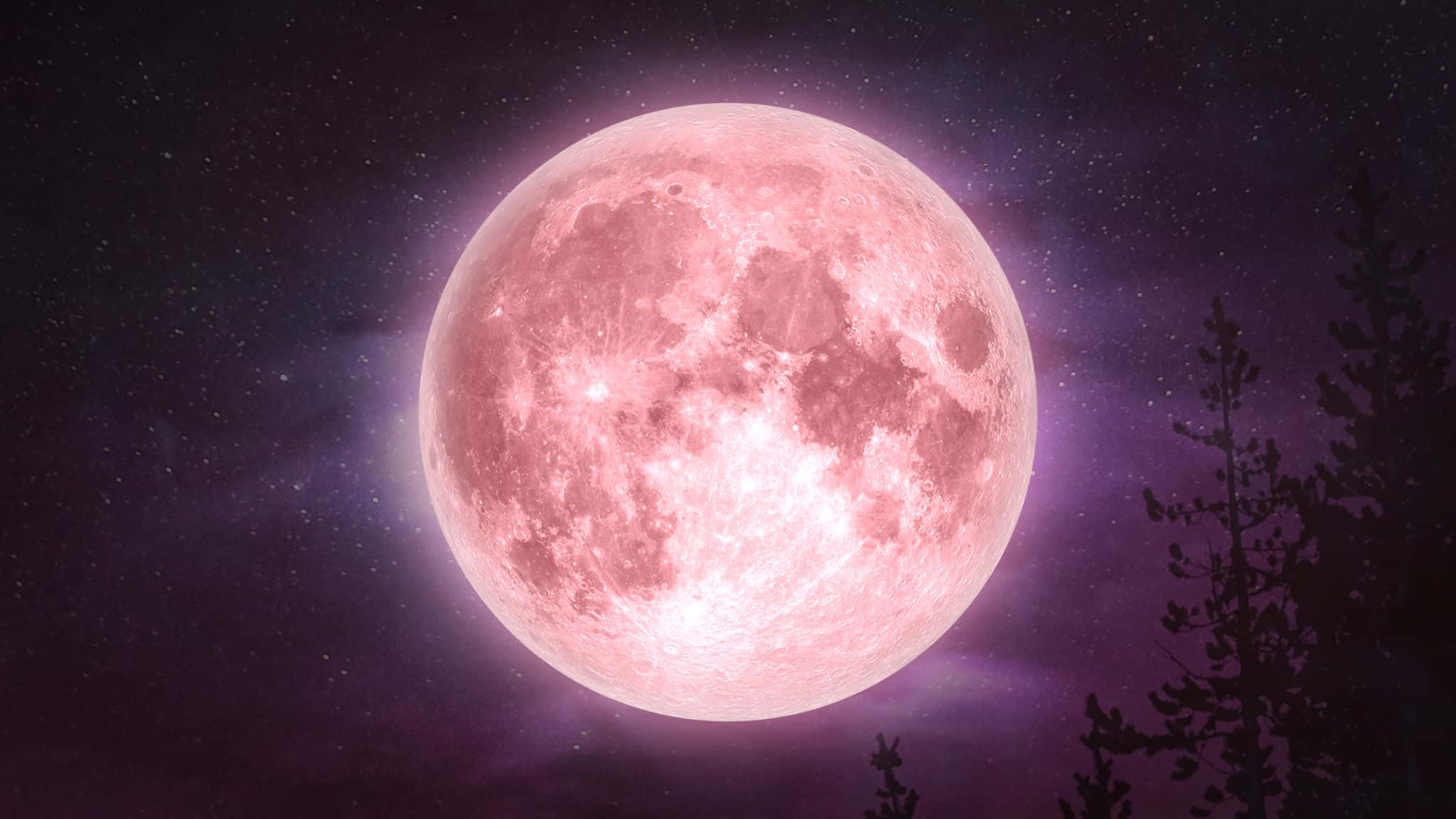 Pink Moon 桌布 壁紙 — 巨大的粉紅色滿月在繁星點點的紫色夜空中發光，右下角有松樹的剪影。