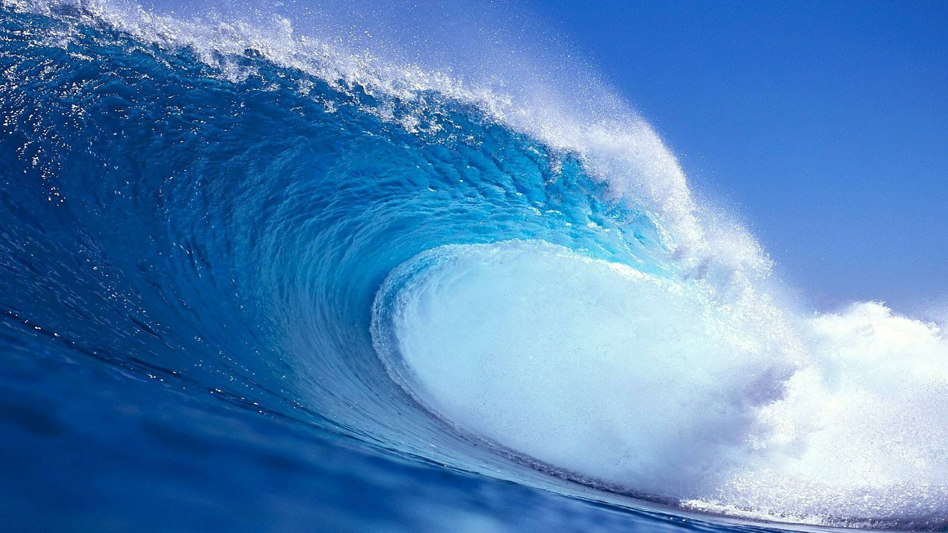 Wave 桌布 壁紙 — 巨大的藍綠色海浪在清澈的藍天下捲成完美的筒狀。