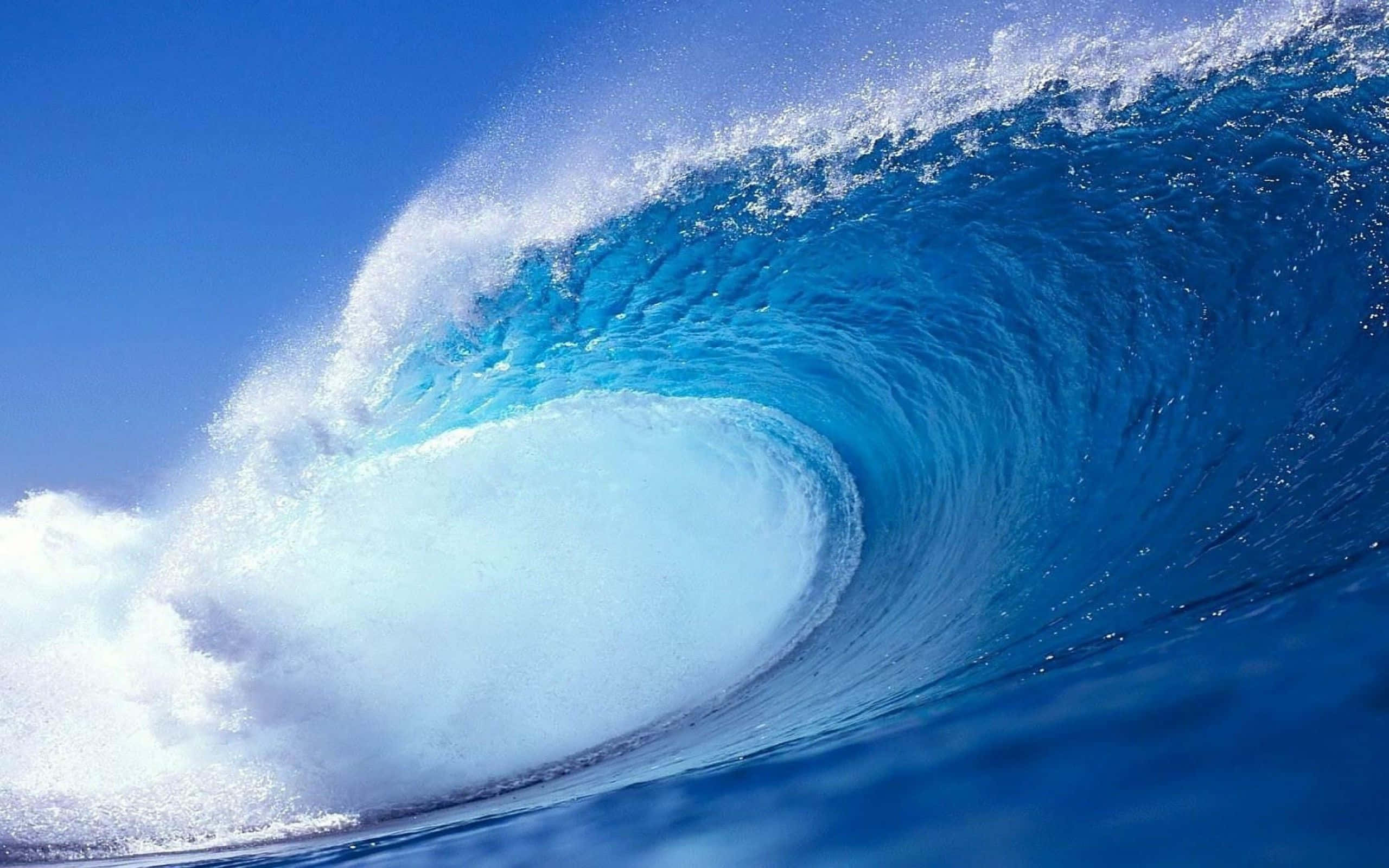 Ocean Waves 桌布 壁紙 — 巨大的藍綠色海浪在清澈的藍天下捲成完美的桶狀。