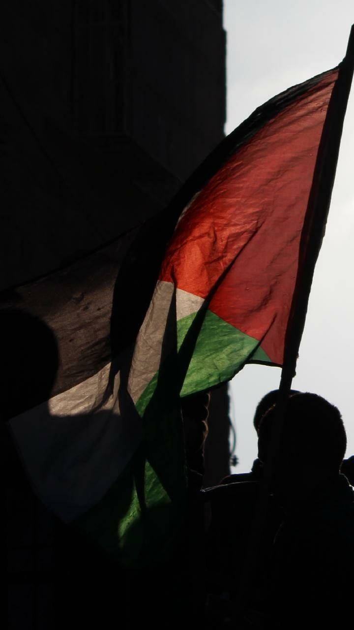 Palestine 桌布 壁紙 — 巴勒斯坦國旗在明亮的天空下以剪影飄揚，人們在陰影中聚集抗議。