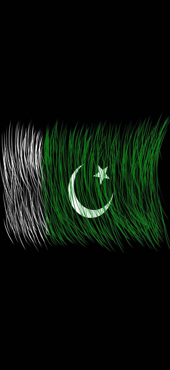 Pakistan Flag 桌布 壁紙 — 巴基斯坦國旗以發光的綠色和白色筆觸在黑色背景上呈現。